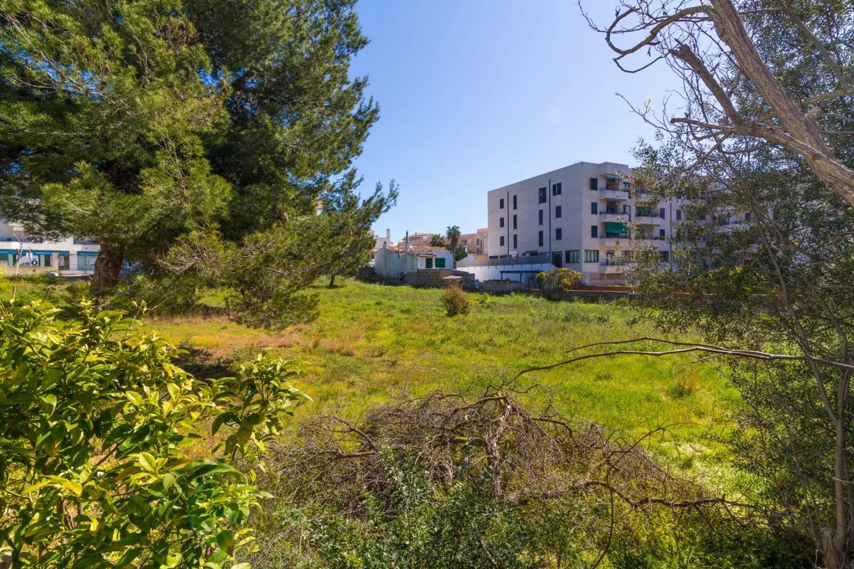 Vente Terrain Capdepera