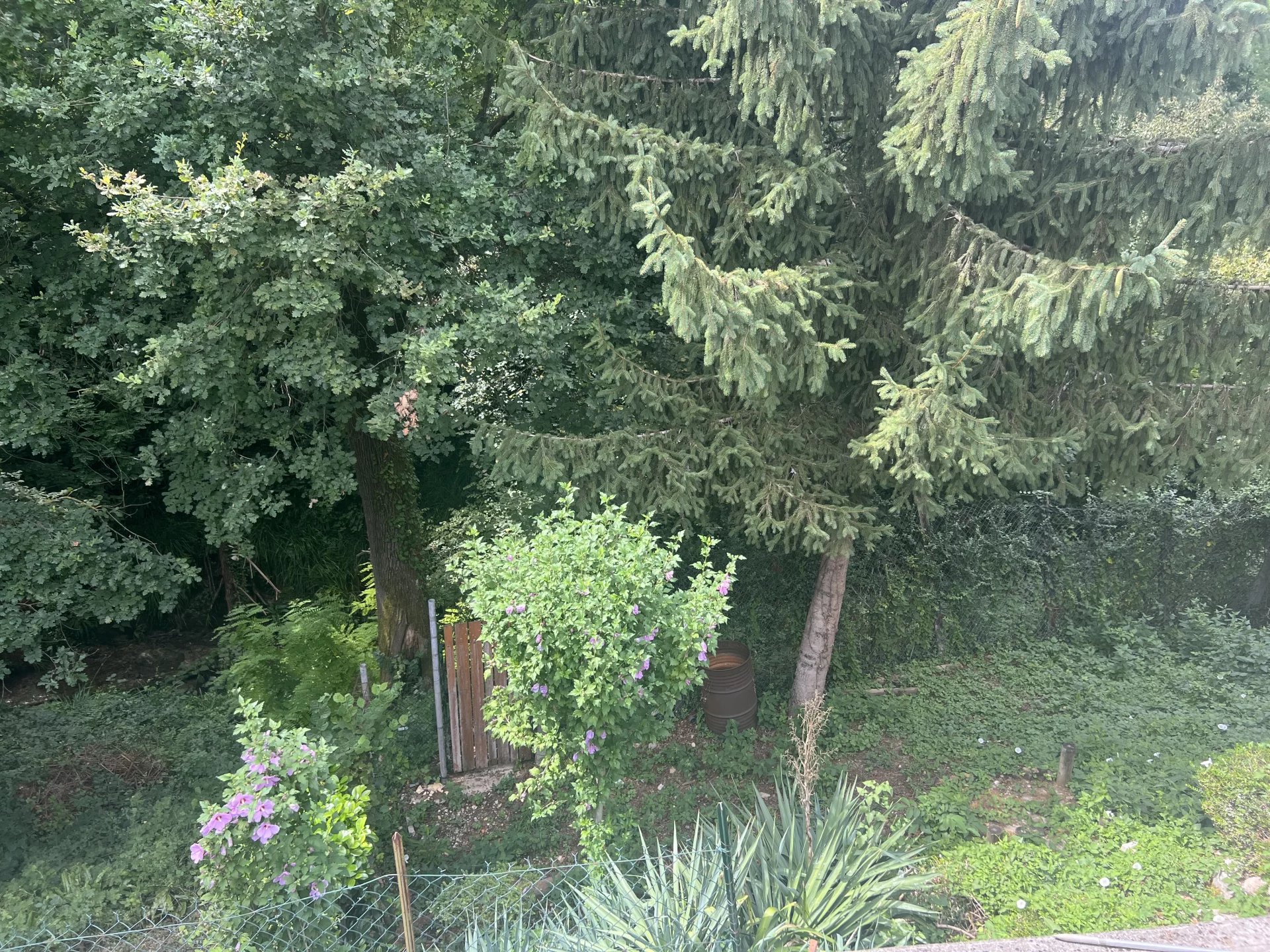 Vente Maison Saint-Romans