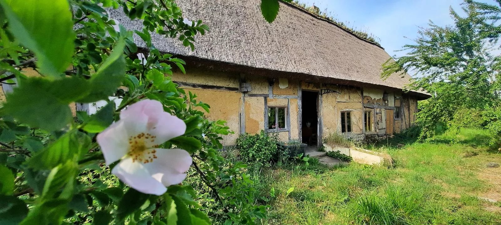 Agence immobilière de AGENCE DE LA BARRE EN OUCHE