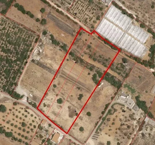 Rustic Land in Vale da Mó – Faro | 16,170 m² 86940753 image 2