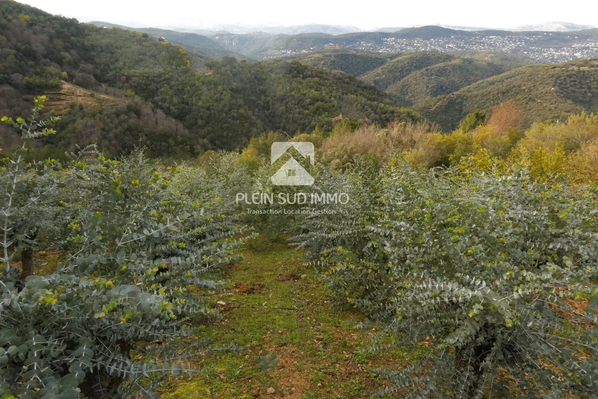 EXCLUSIVITE TERRAIN AGRICOLE TANNERON