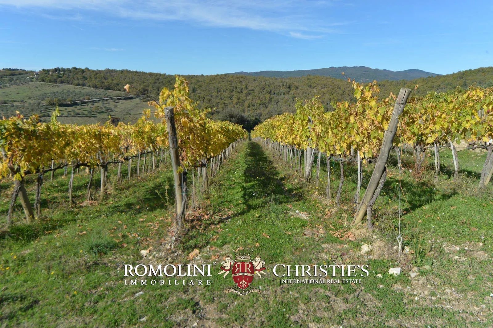 LUXURY HISTORICAL VILLA FOR SALE IN RADDA IN CHIANTI, TUSCANY