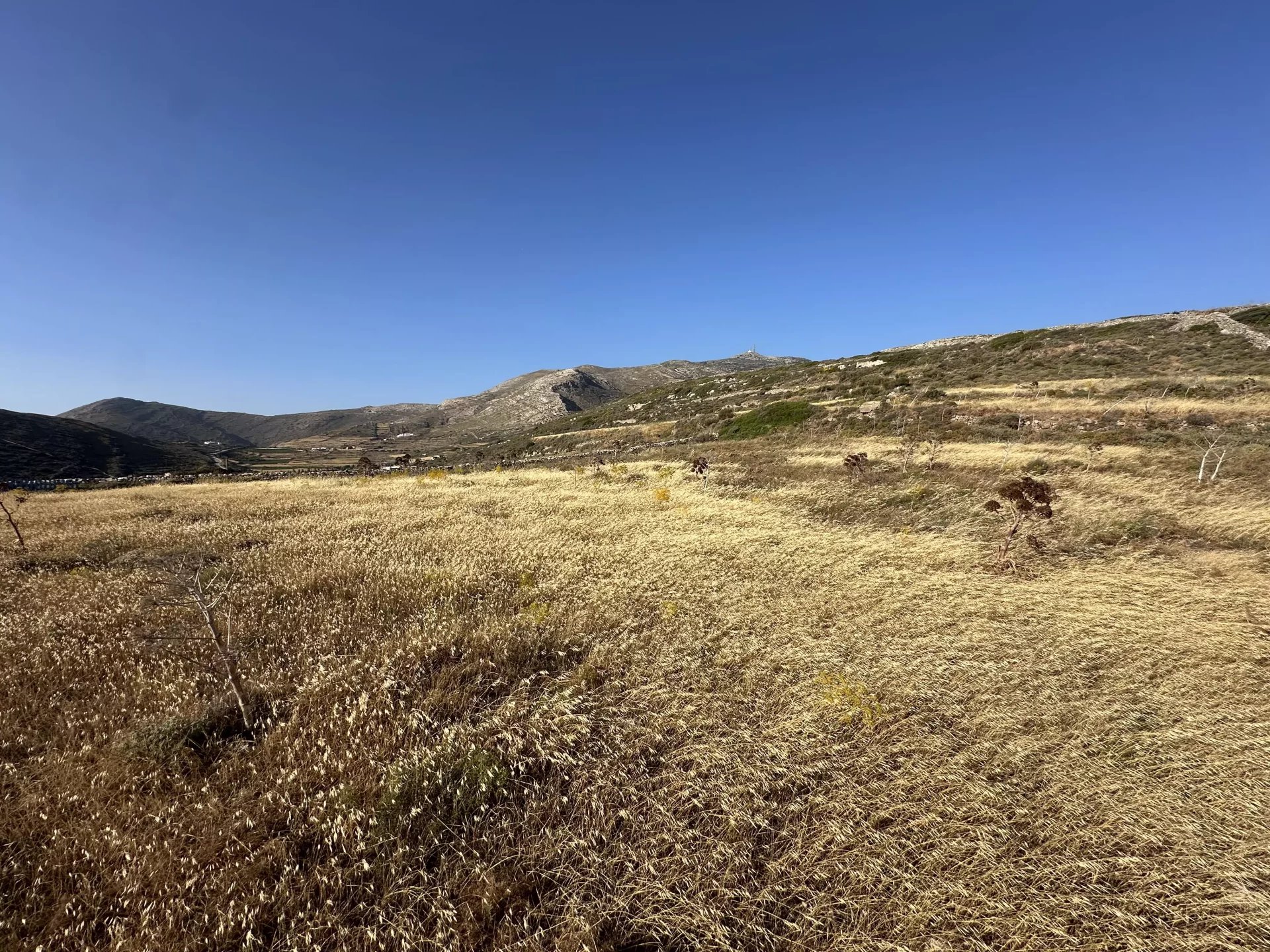 Εικόνα ιδιοκτησίας 8