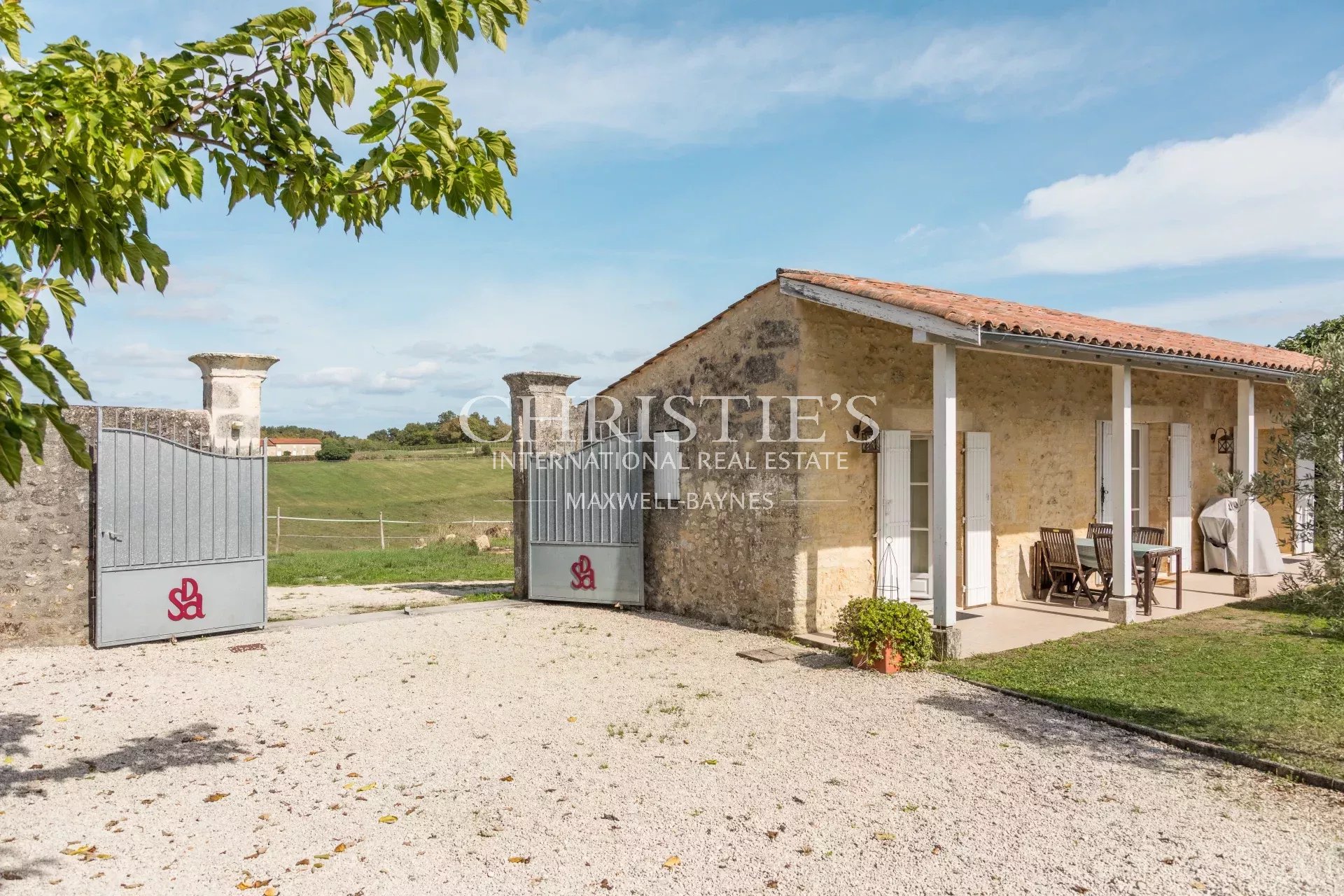 Vineyard's Image 16