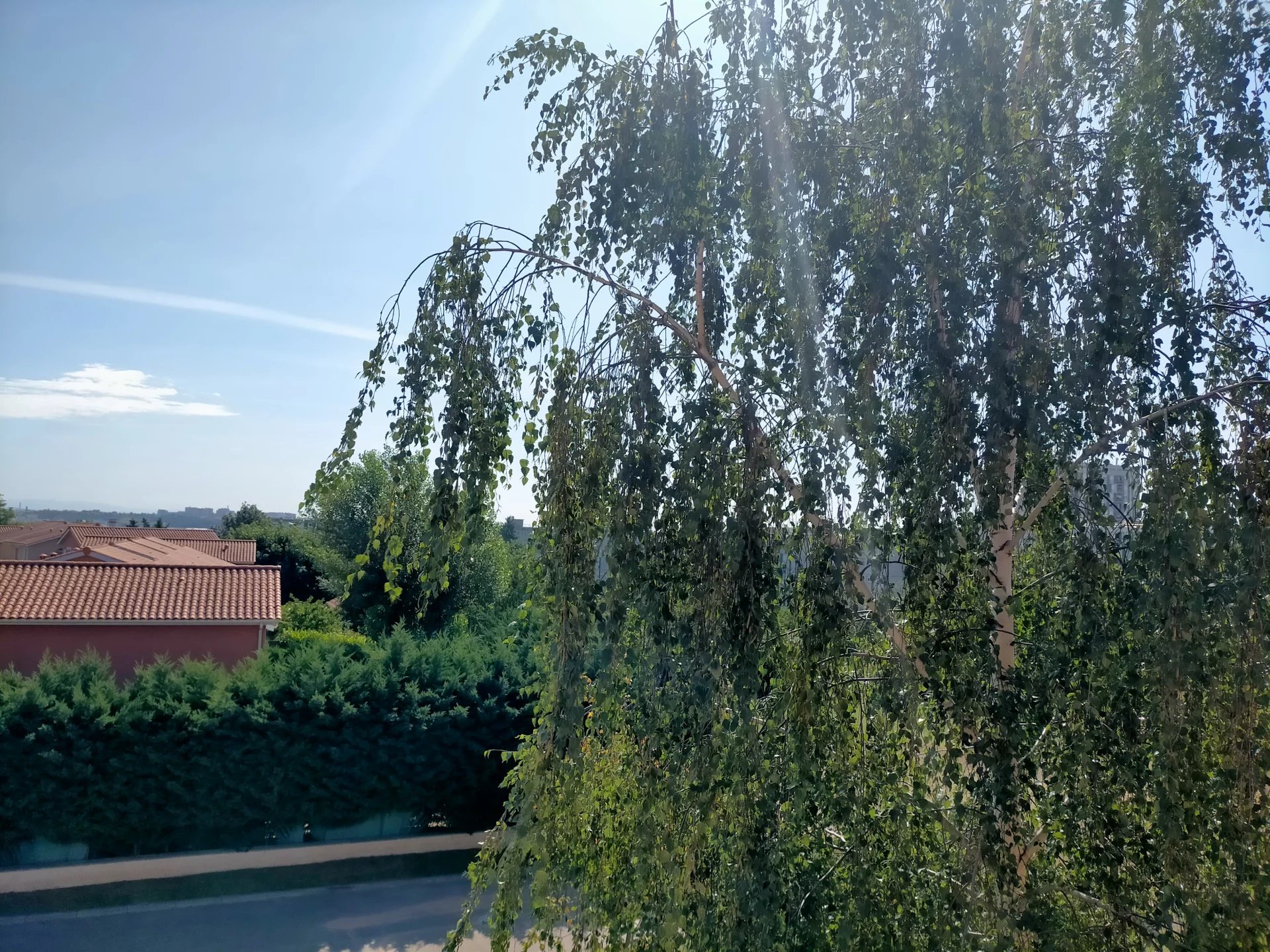 481949 Location Saint-Genis-Laval