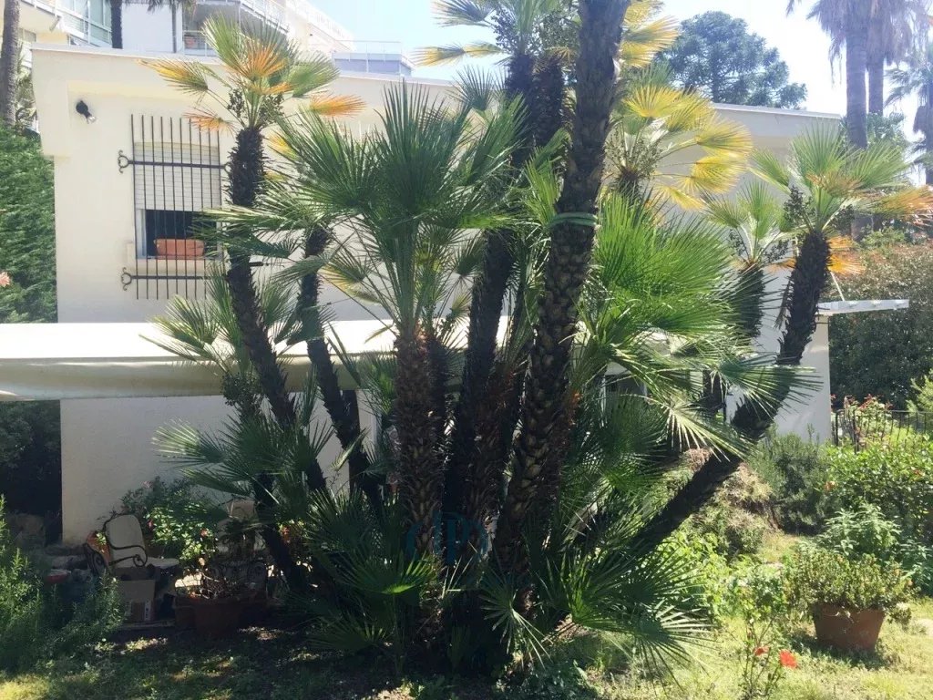 Villa Sanremo - picture 24