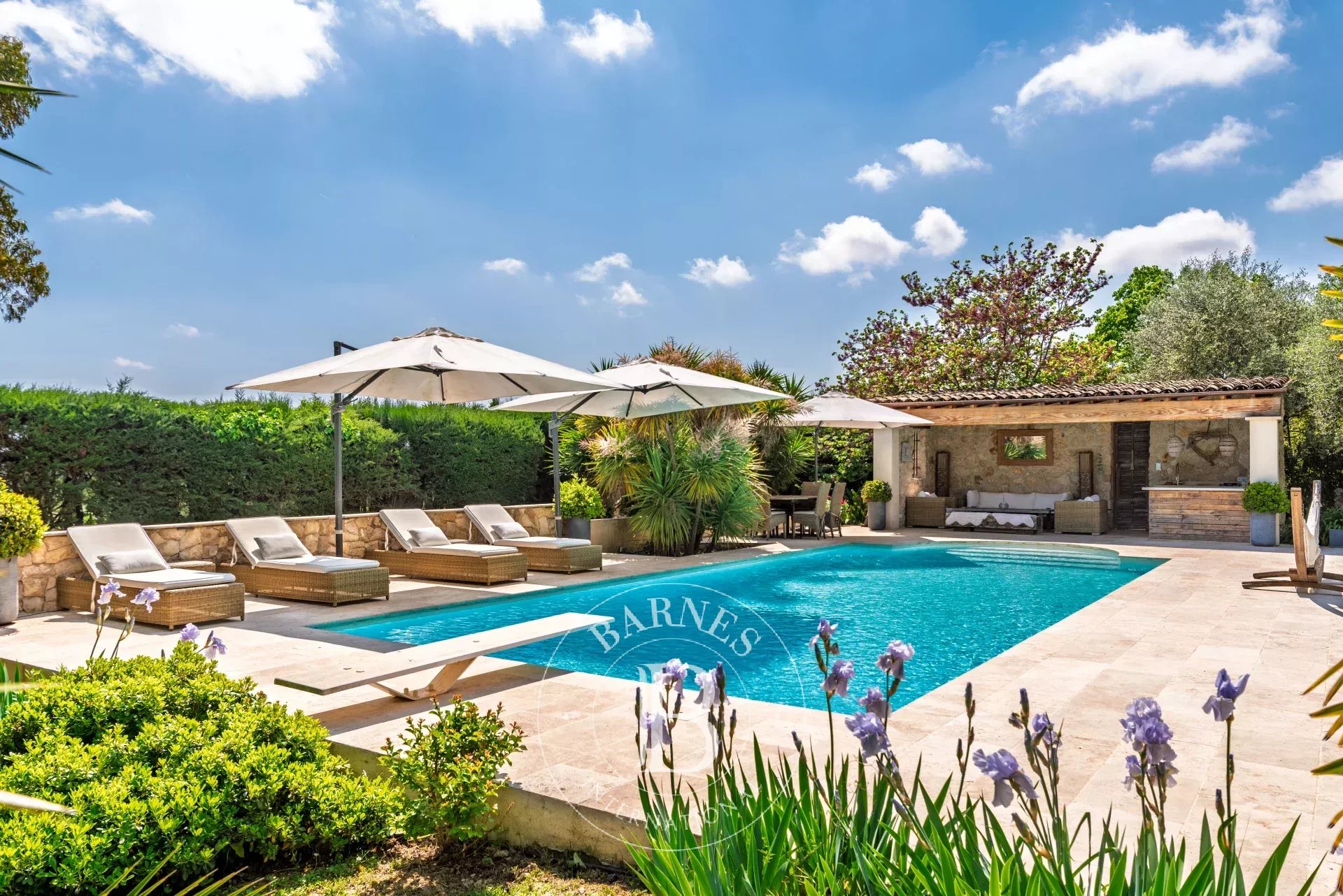 Villa Roquefort-les-Pins  -  ref 86951878 (picture 1)