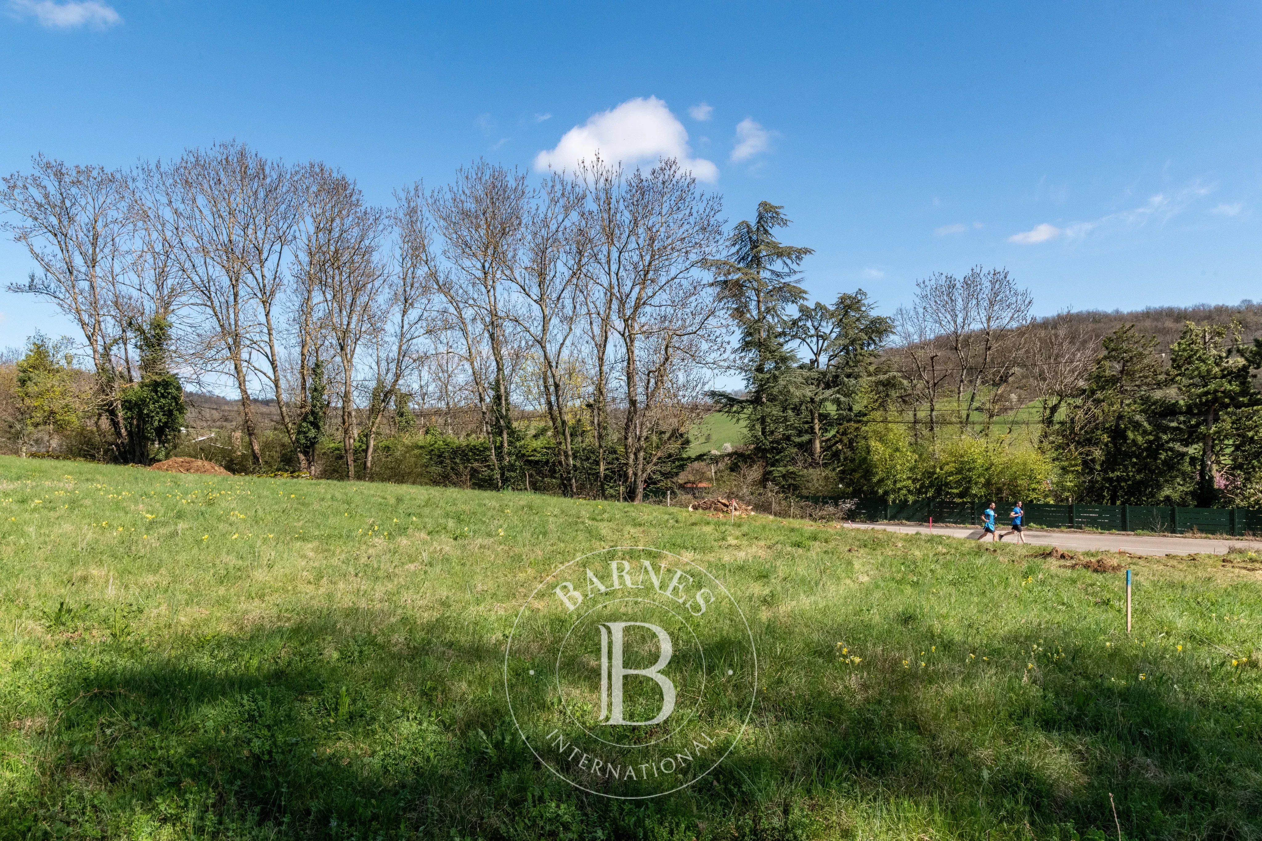 Terrain constructible Saint-Didier-au-Mont-d'Or  -  ref 86439038 (picture 2)