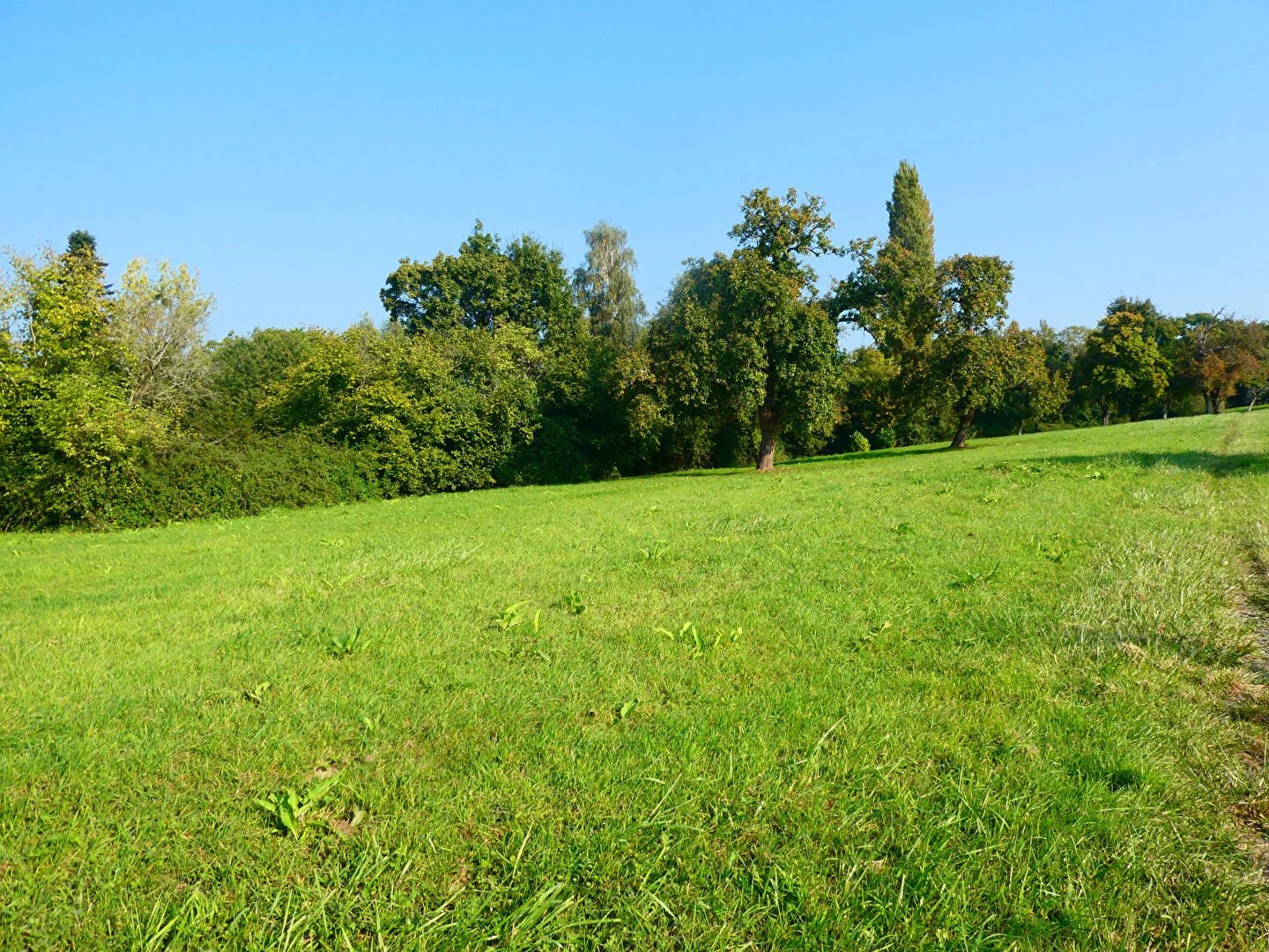 Terrain Pont L Eveque à bâtir à 5 kms, campagne hors lotissement 3505 m², 20 minutes Deauville Honfleur