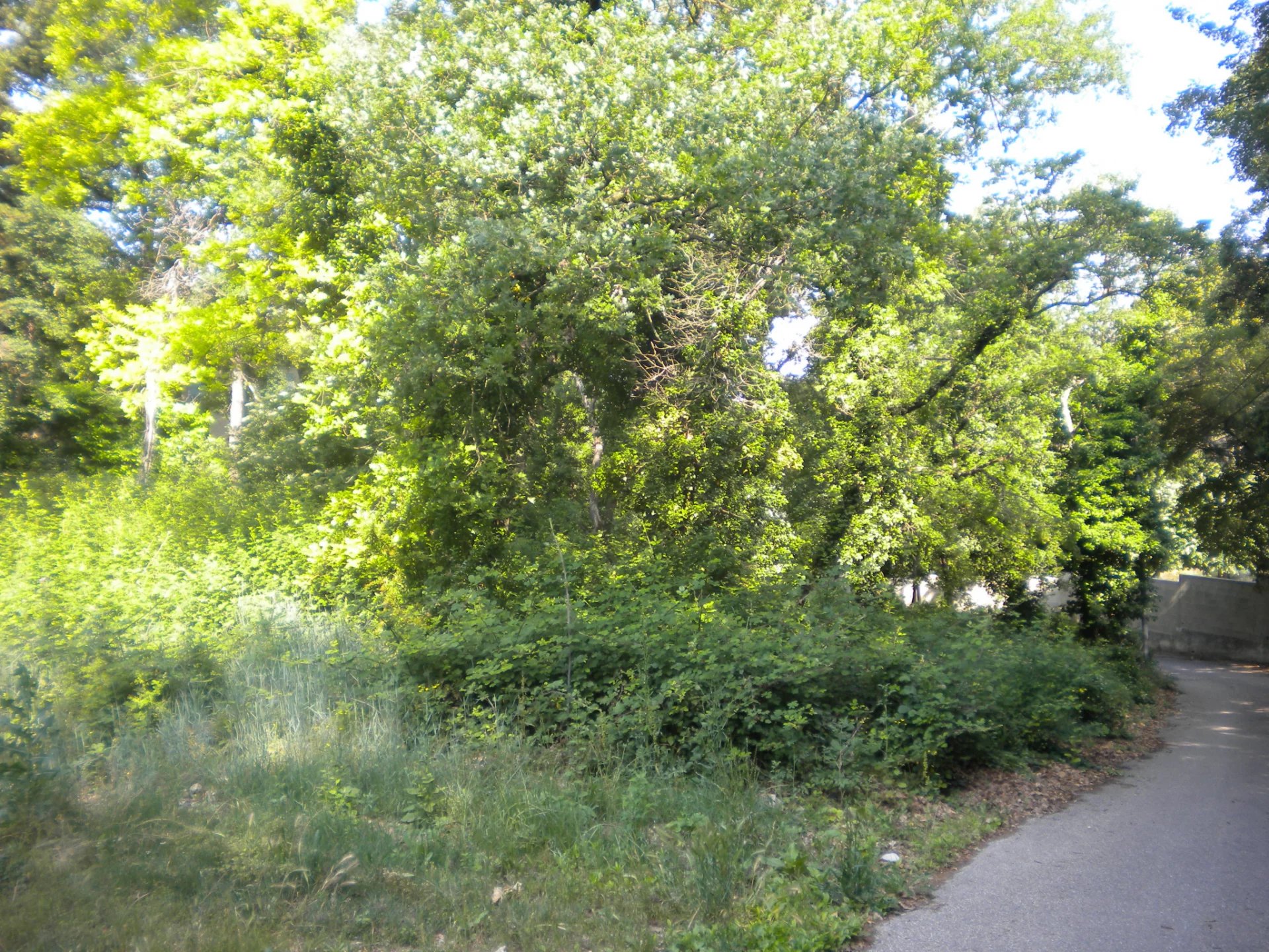 Vente Terrain Mondragon