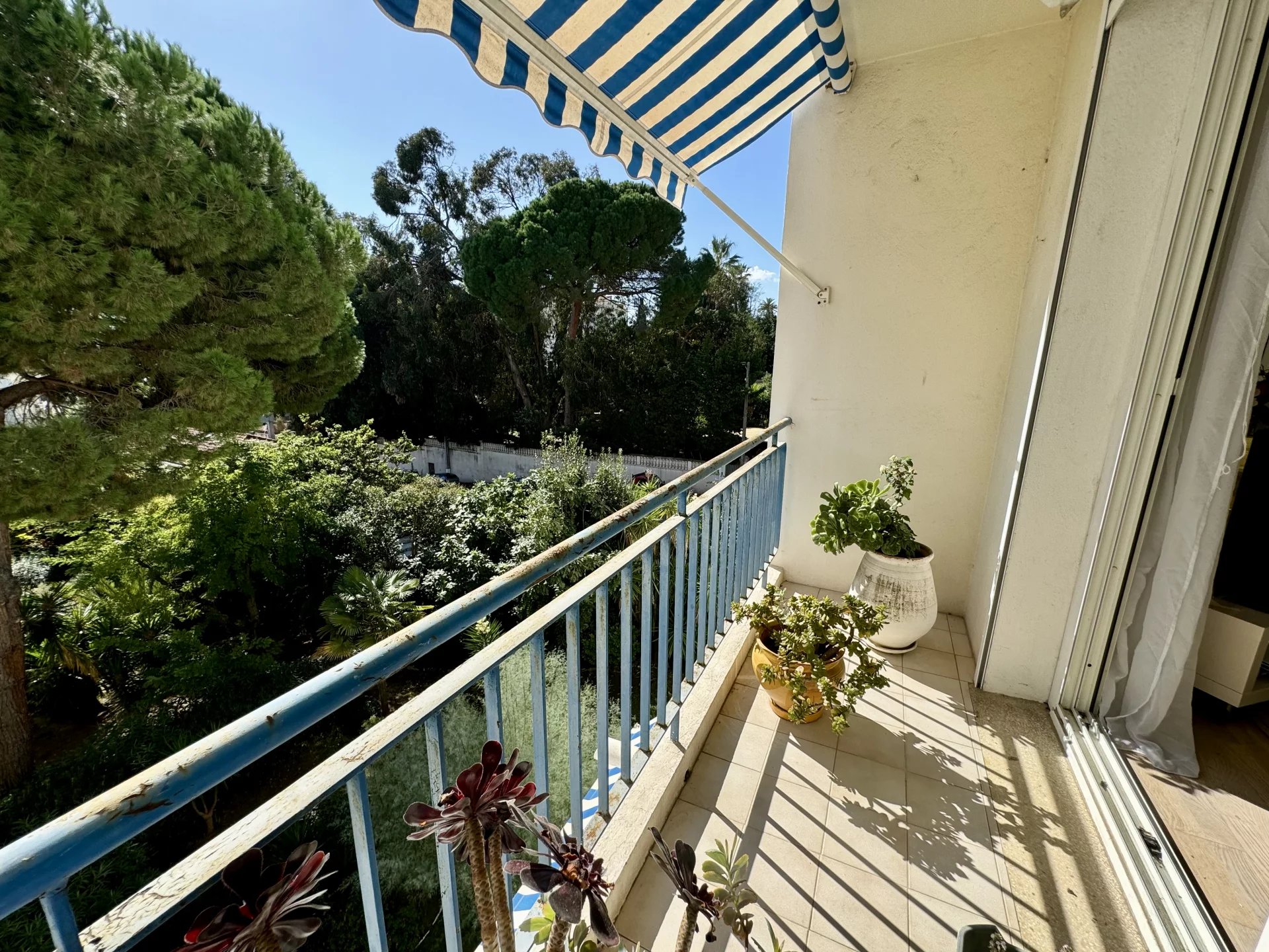Agence immobilière de Cannes Real Estate