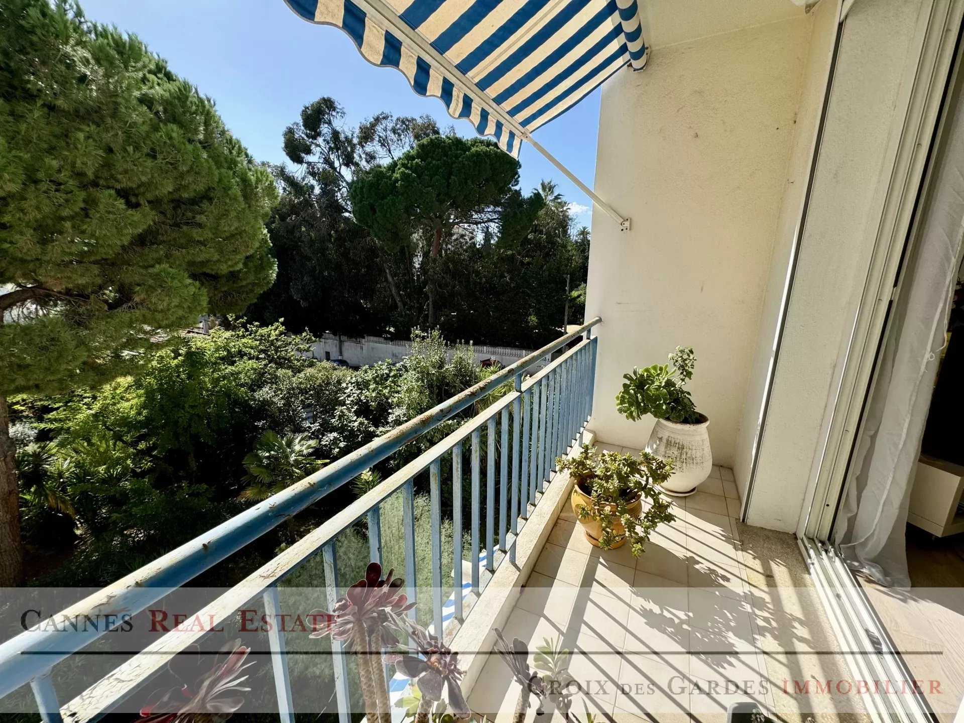 Agence immobilière de Cannes Real Estate