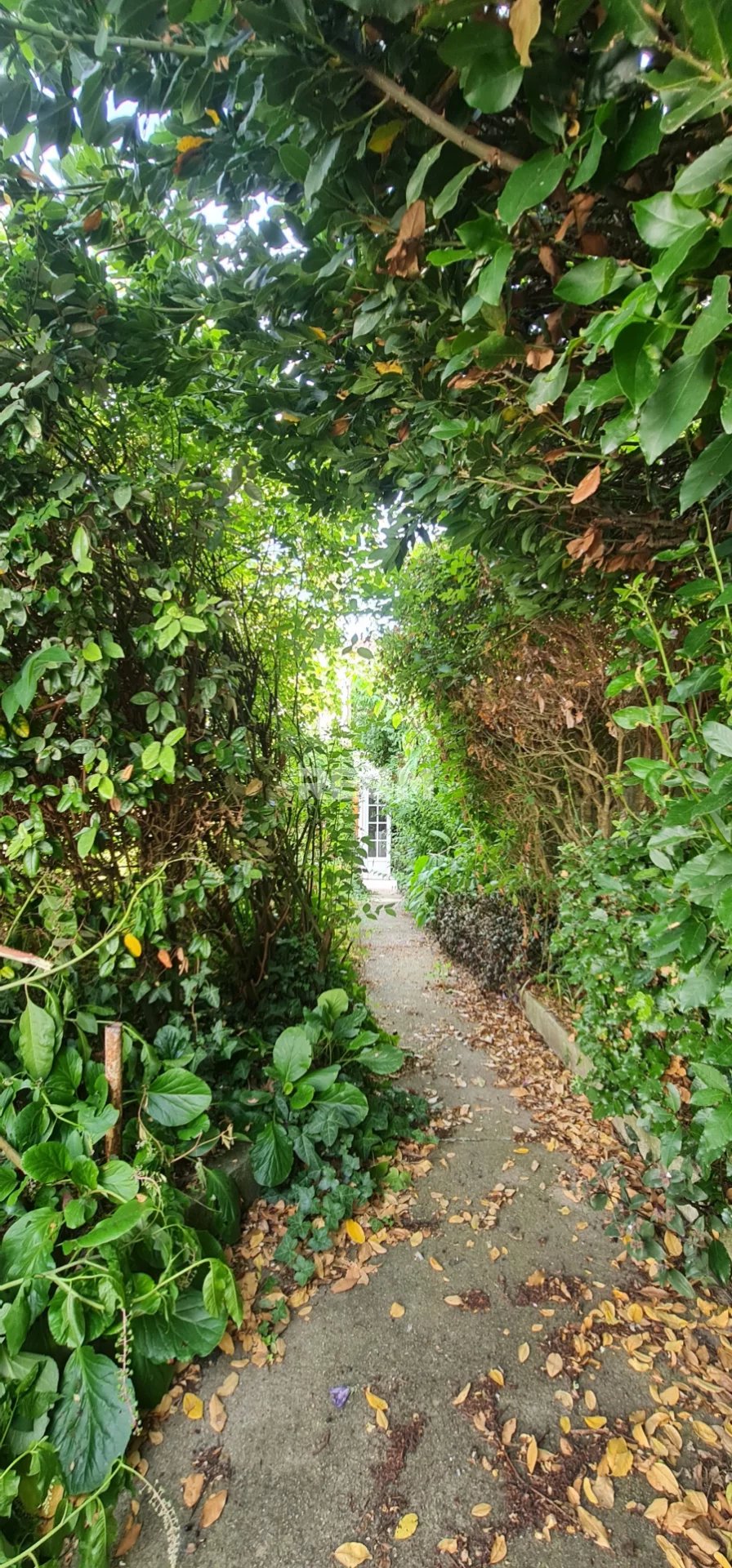 EXCEPTIONNEL MAISON 5 pièces 3 chambres 120 m2 - 17300 Roche