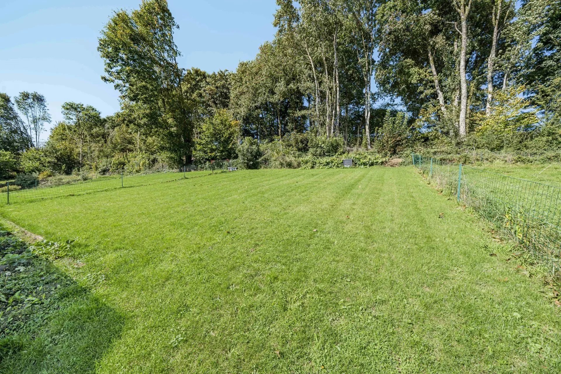 Verkoop Gebouw Saint-Hubert