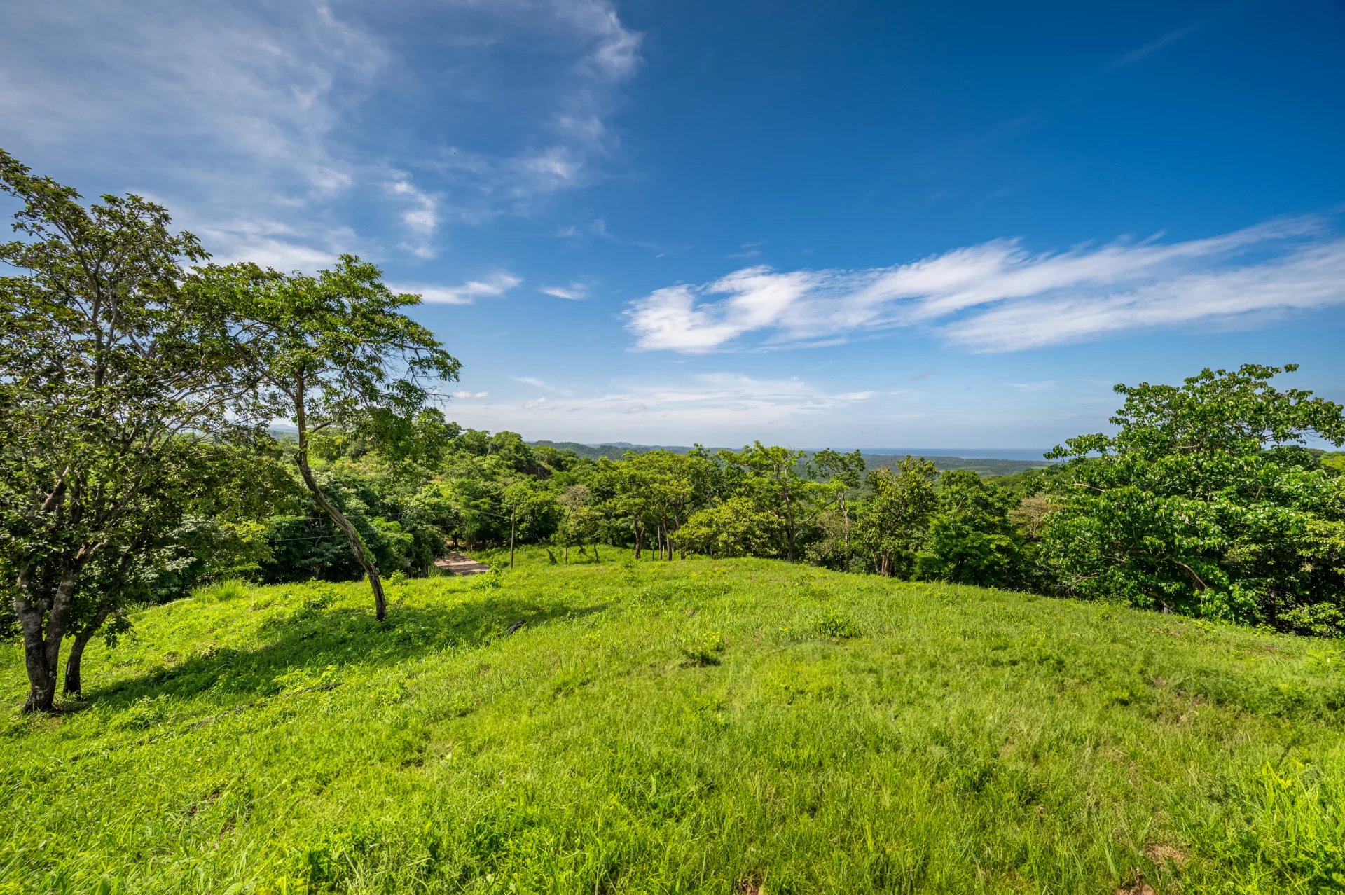 Venta Terreno Santa Cruz