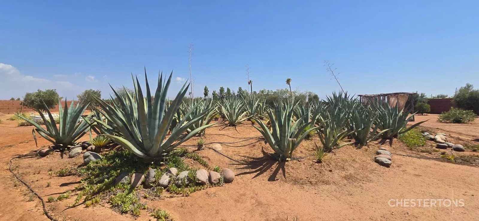 Image of Villa - 4 Bedrooms for Sale in Marrakech-Ménara-Marrakech-Morocco, Image 26