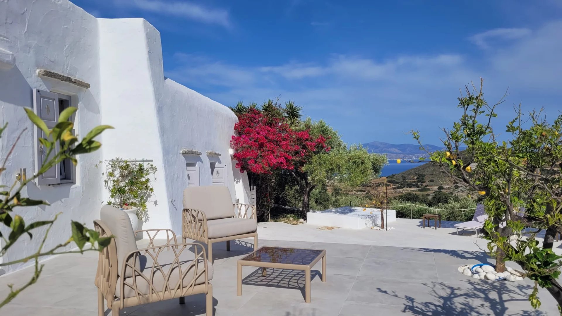 Εικόνα ιδιοκτησίας 31