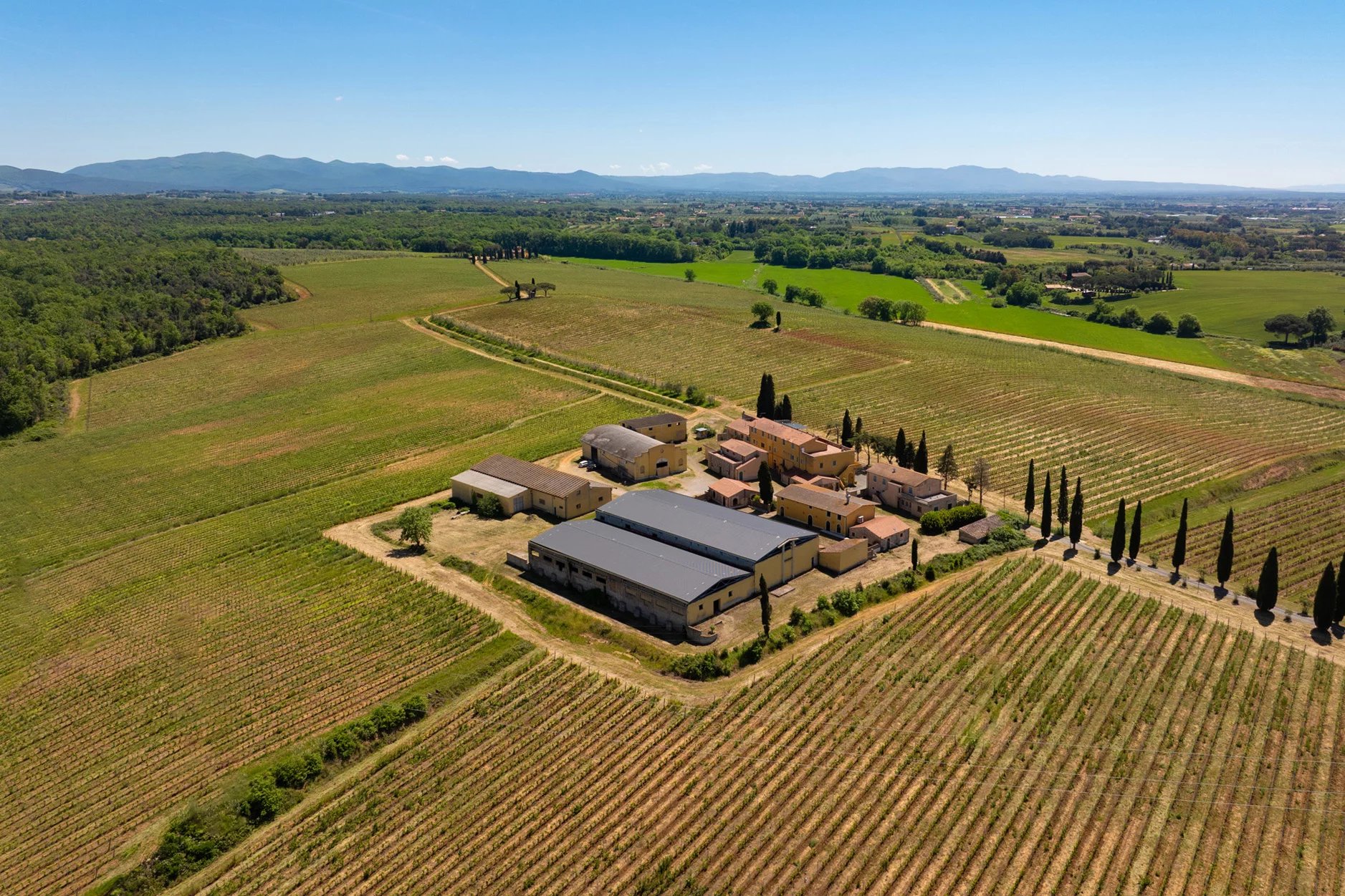  TENUTA VITIVINICOLA DI 380 HA IN VENDITA SULLA COSTA TOSCANA