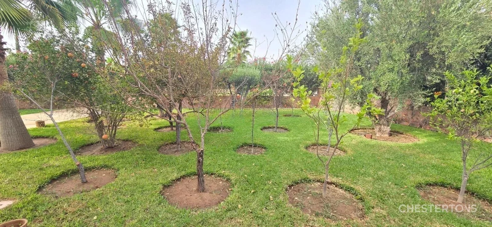 Image of Villa - 5 Bedrooms for Sale in Marrakech-Ménara-Marrakech-Morocco, Image 6