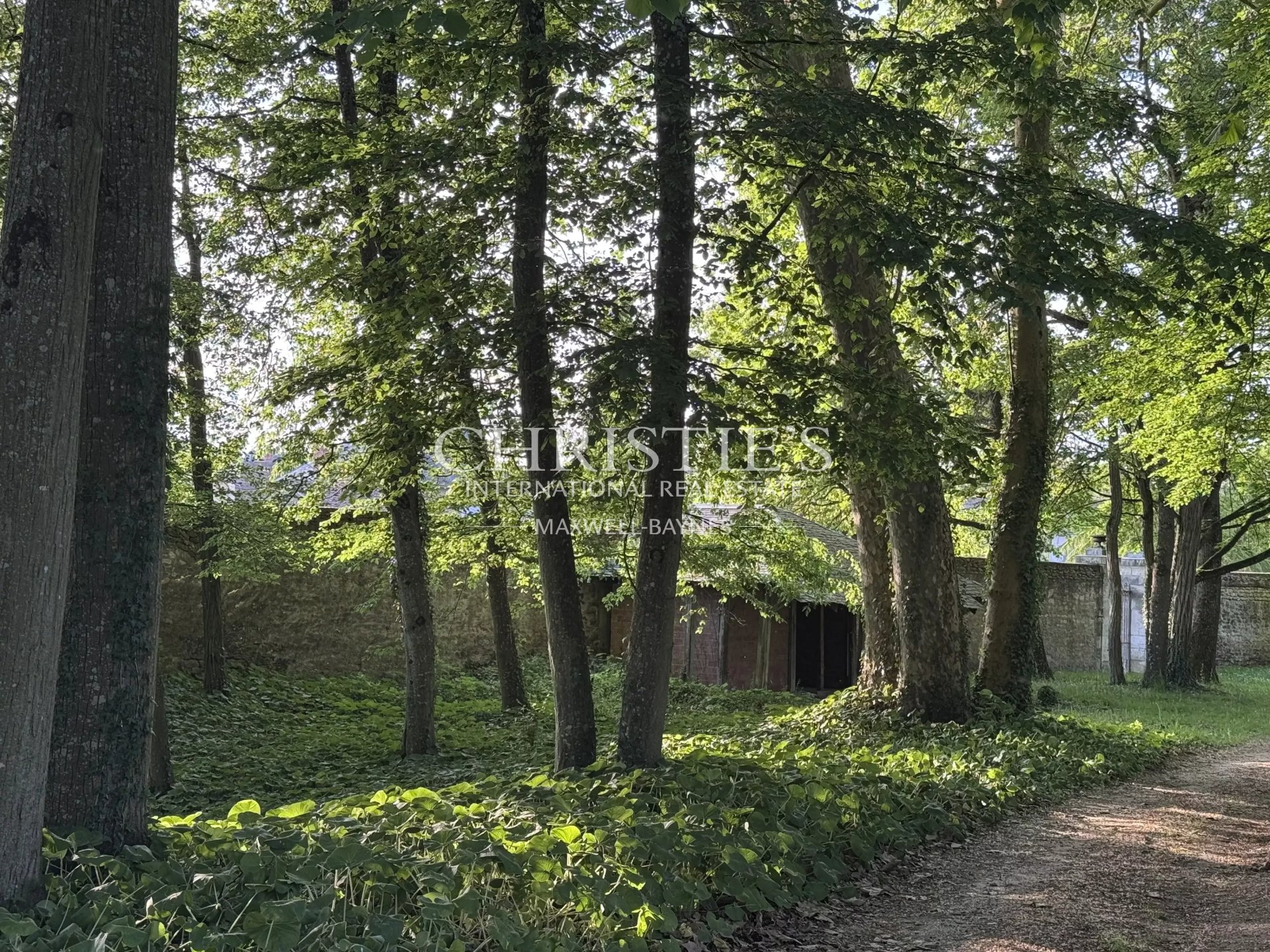 9 Bedroom Villa/Townhouse's Image 33