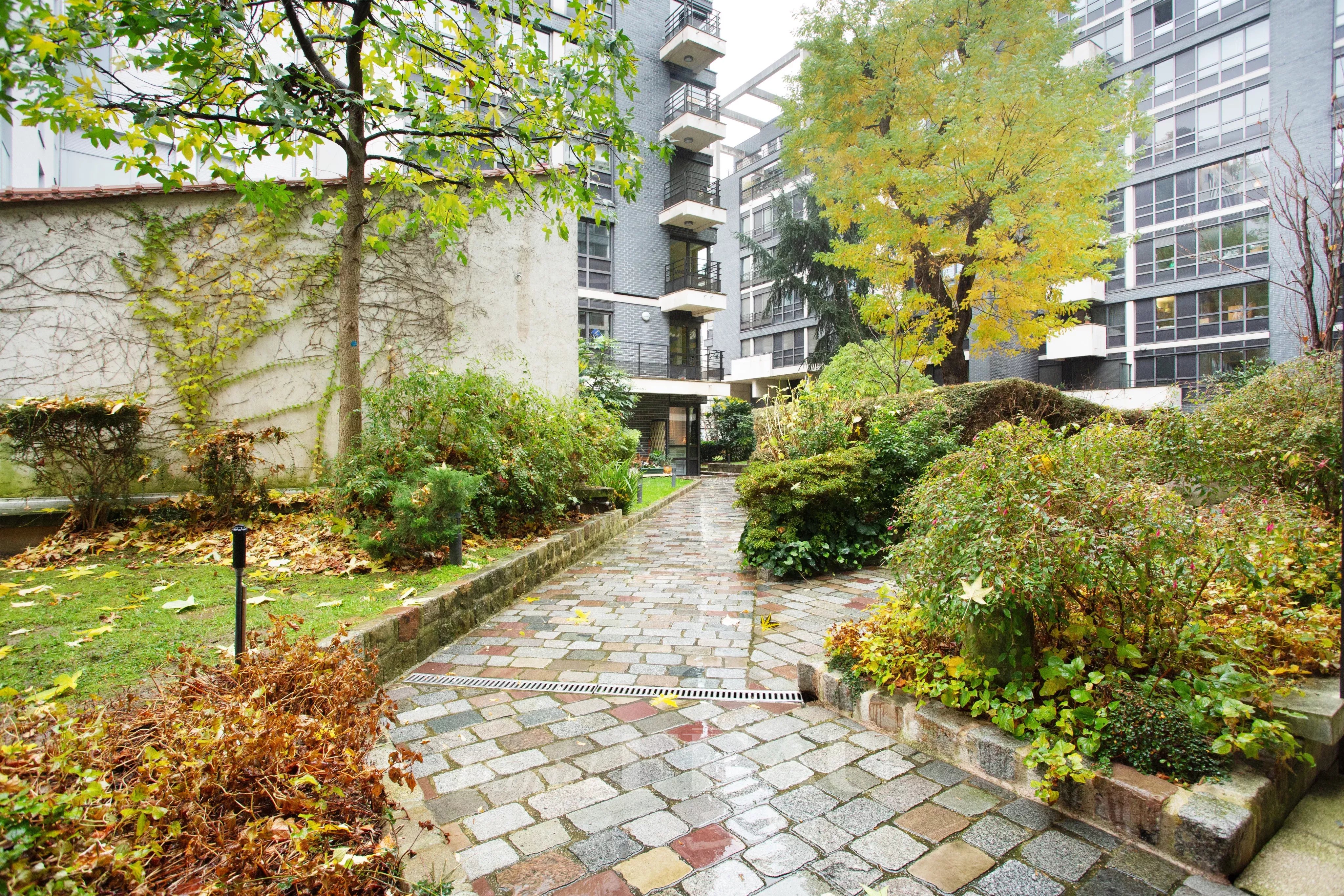Location Appartement Paris 15ème