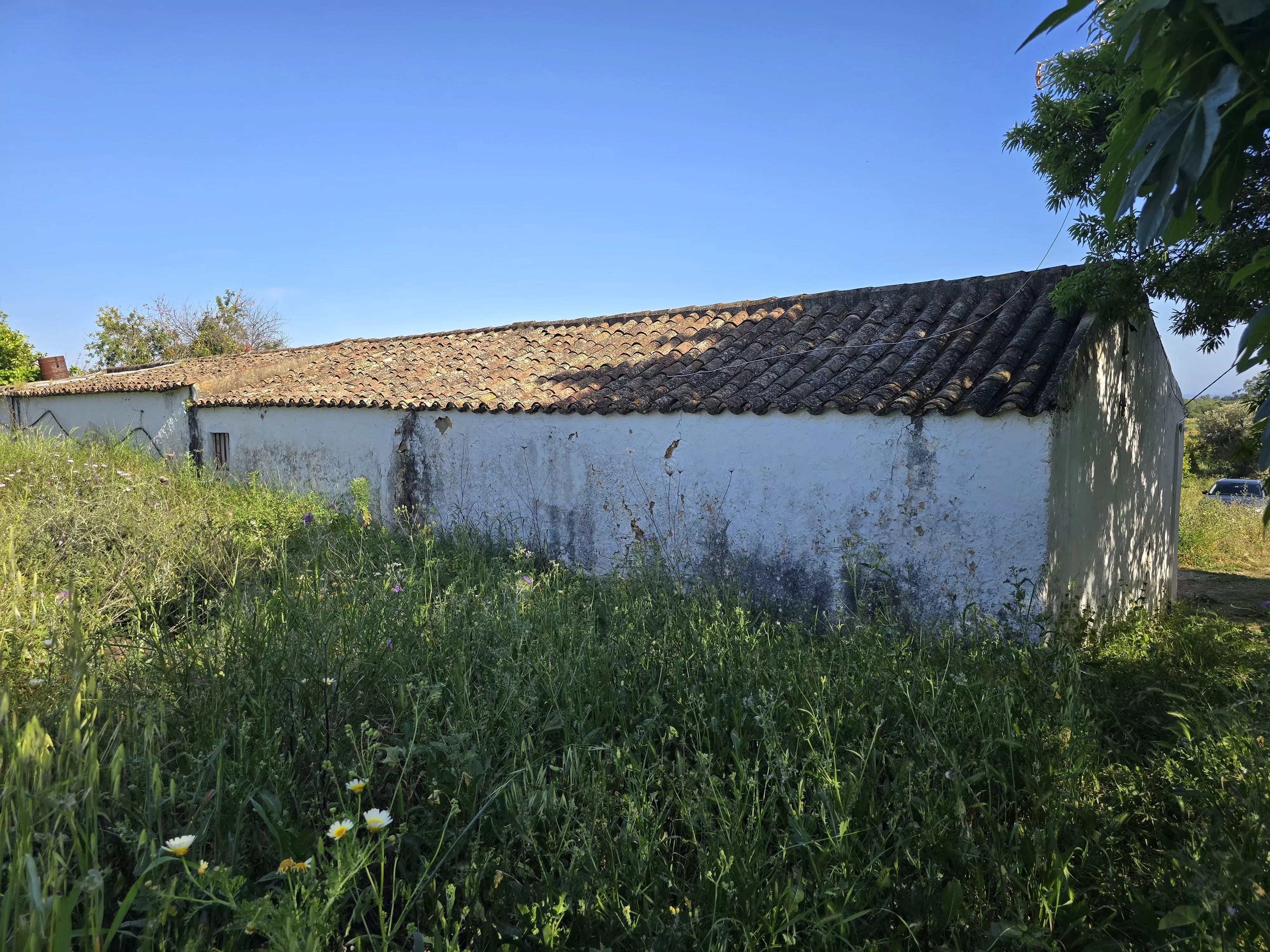 6 room Farmhouse with 1.5 hectares of land and sea view 86949039 image 9