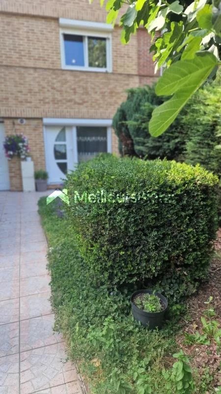 Maison 3 chambres avec garage, véranda et jardin à Lens