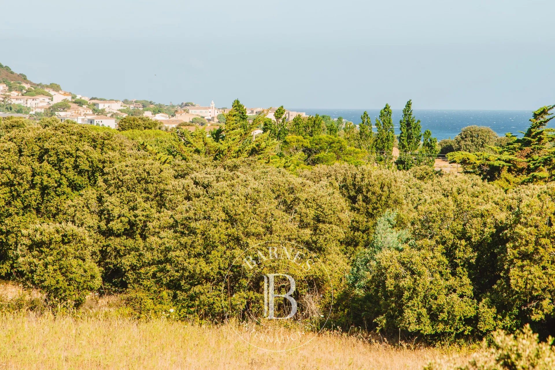 L'Île-Rousse  - Villa  - picture 14