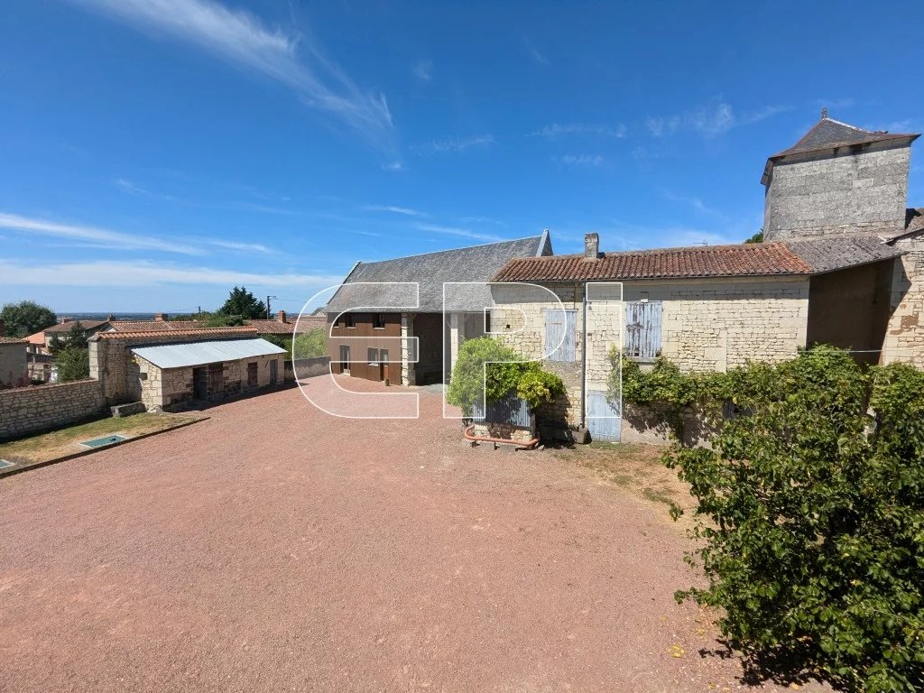 Charmante propriété en pierre à Curçay-sur-Dive