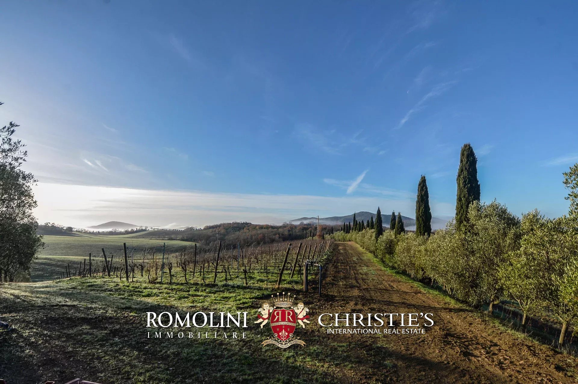 6 Bedroom Vineyard's Image 8