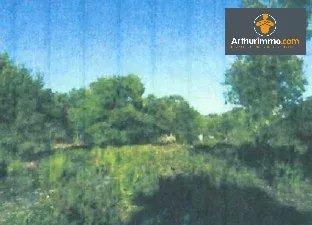 TERRAIN BONIFACIO 23 600 m² - EXCLUSIVITE - Photo 4
