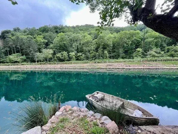 Malikane Valganna - picture 30