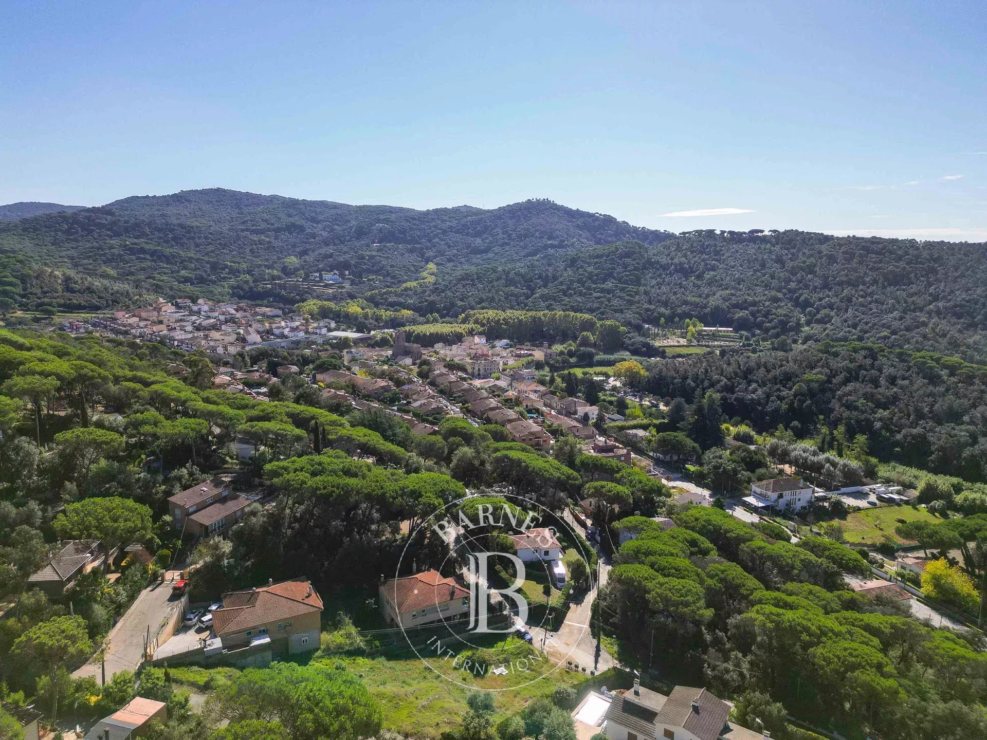 Arazi Dosríus - picture 9