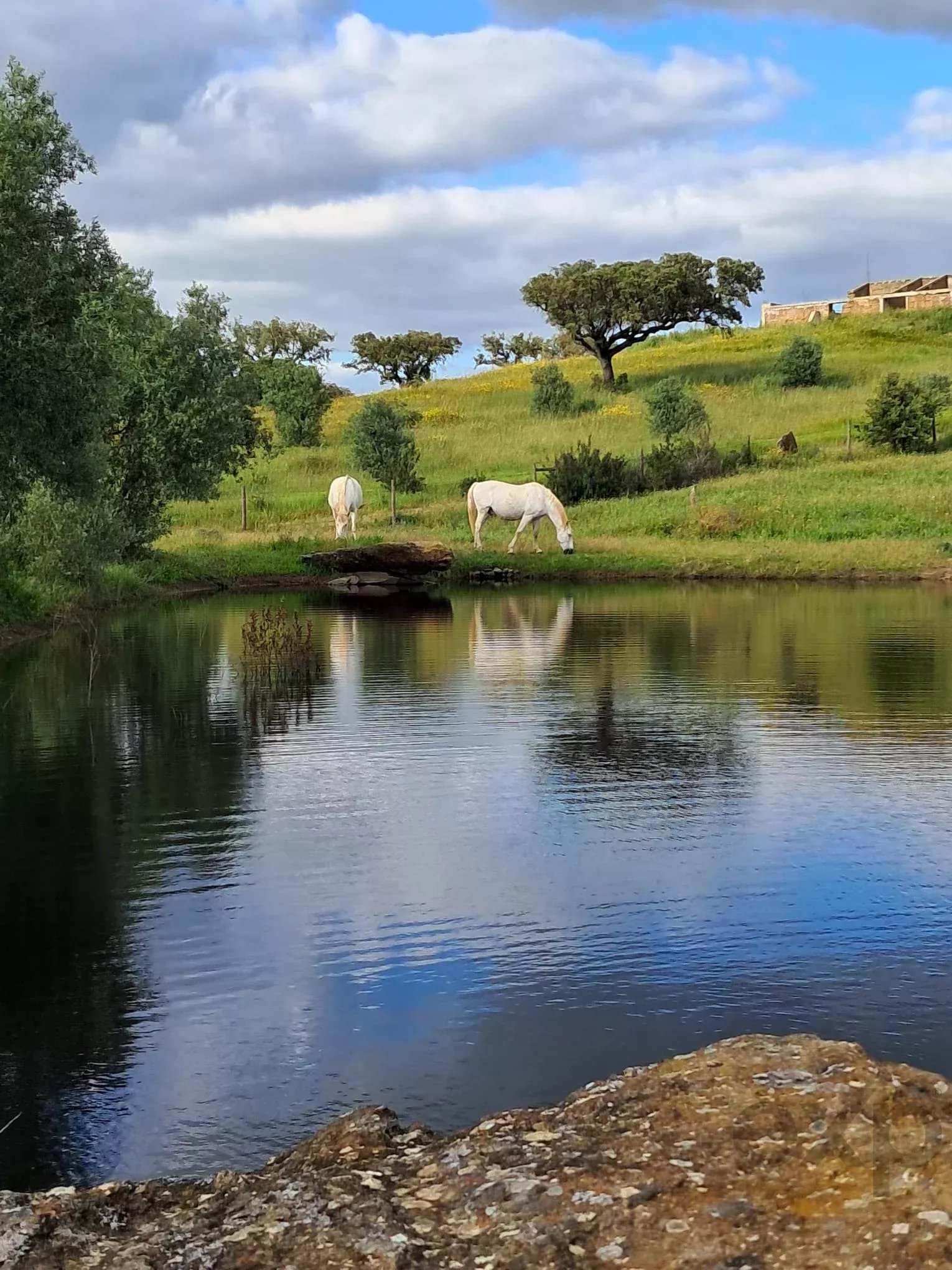 Private Estate - Equestrian Centre 86637172 image 49