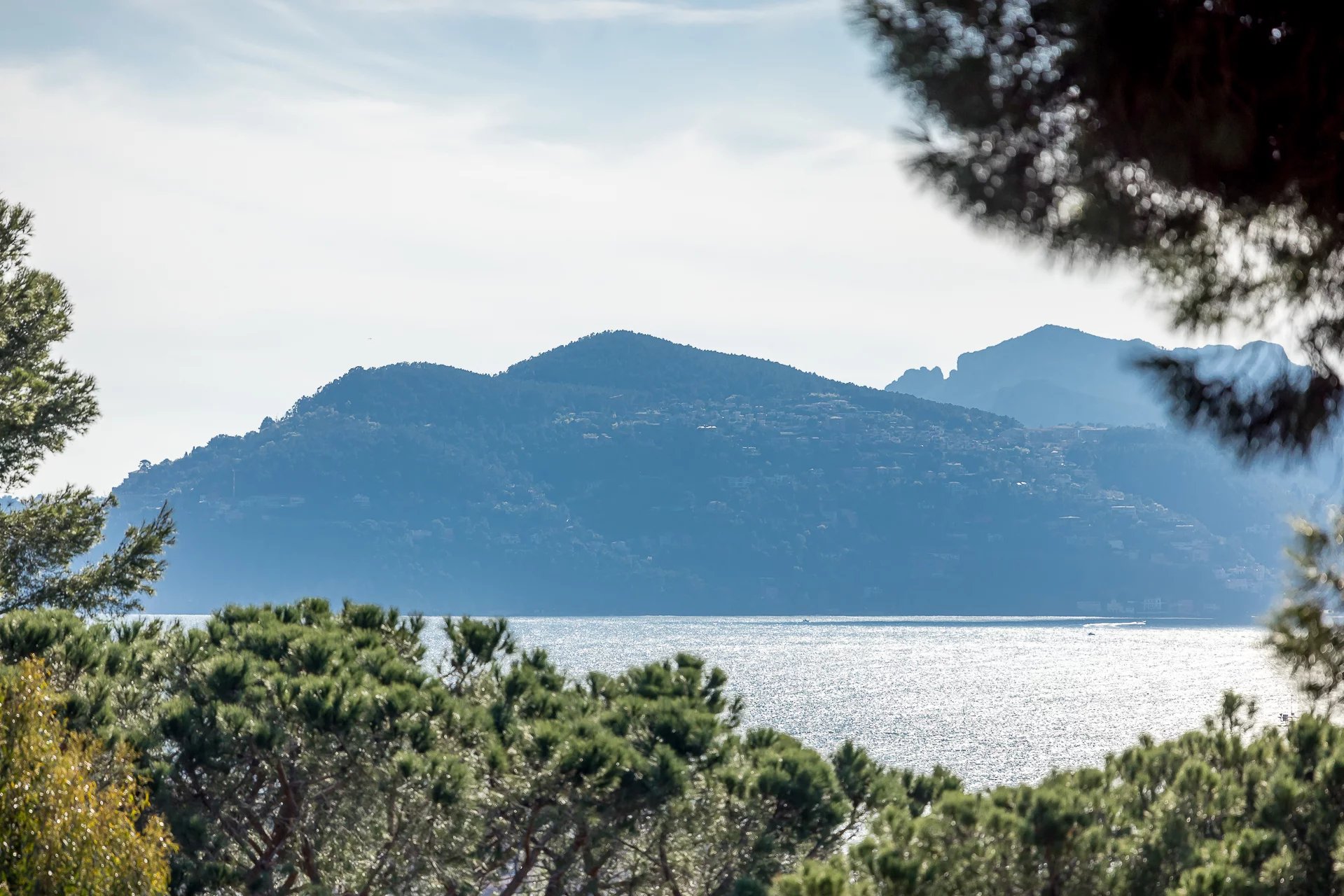 Sale Apartment Cannes