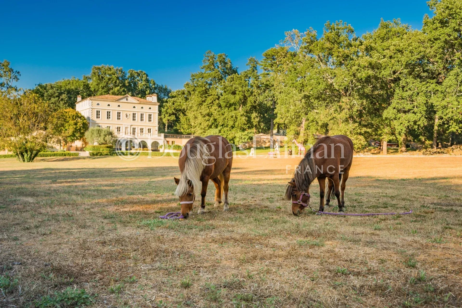 CALLIAN – Splendide manoir avec court de tennis et héliport - Image nᵒ3