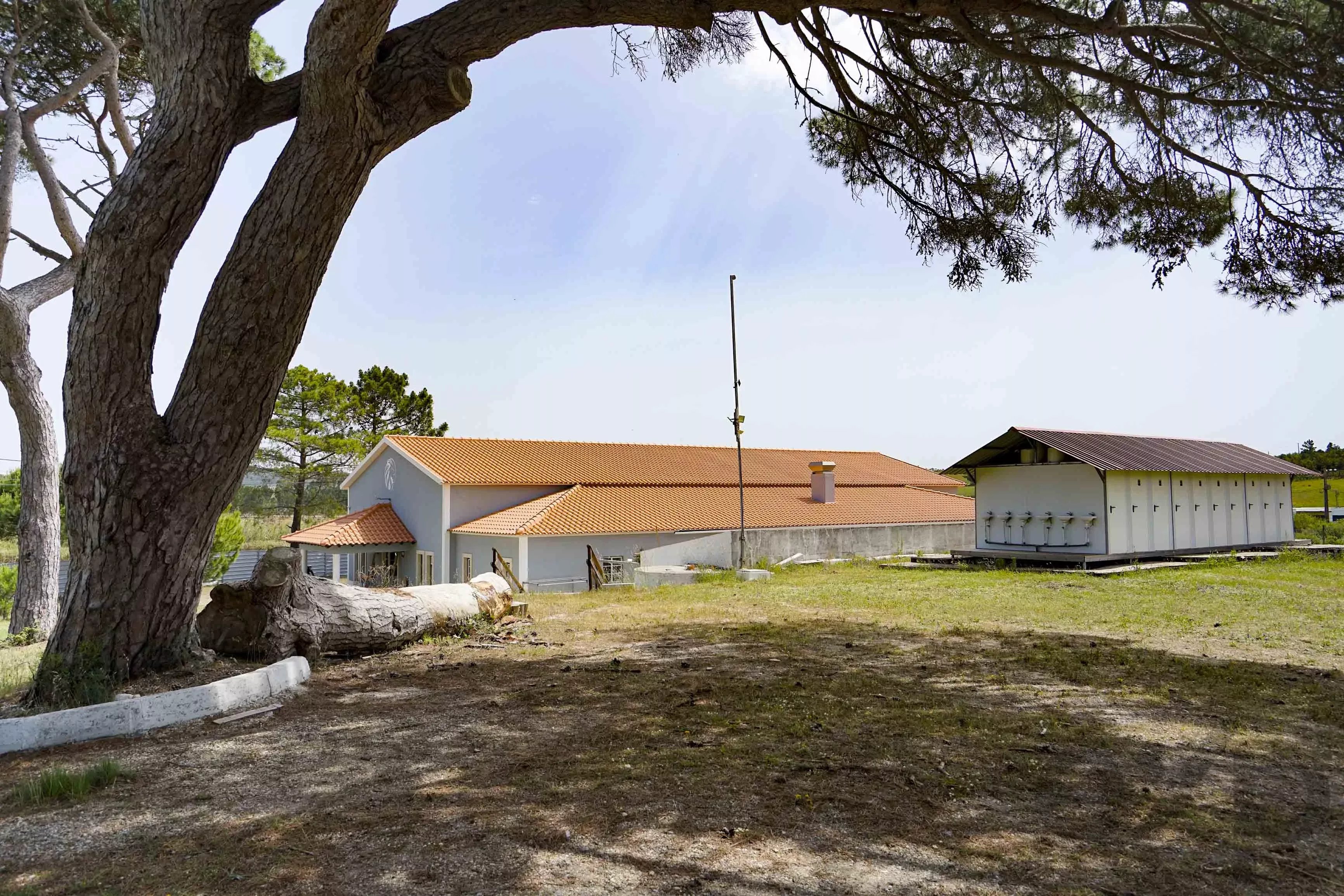 A dos Cunhados - Commercial farm with a plot of land measuring 9630 square meters 87016840 image 9
