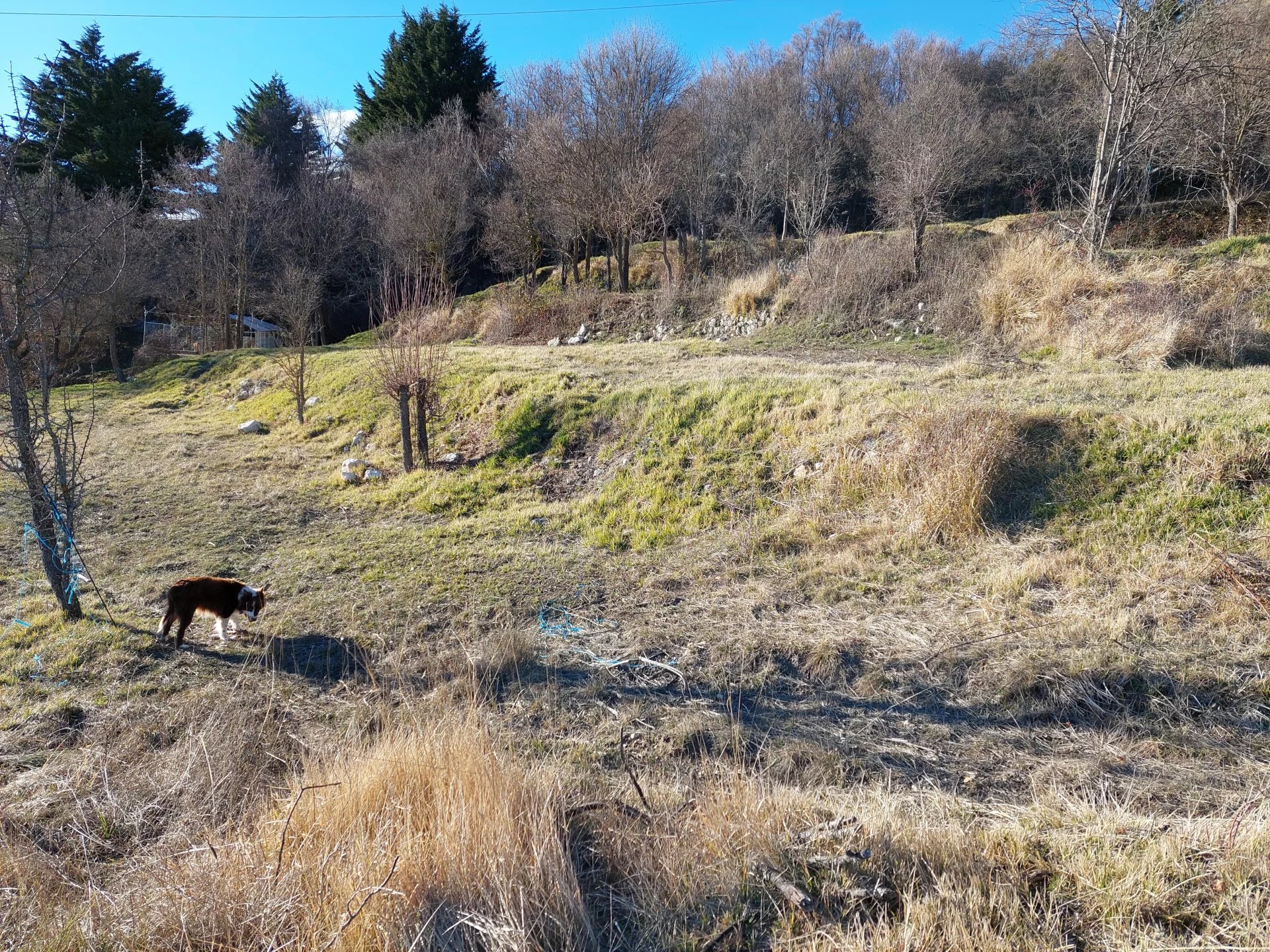 Agence immobilière de Agence immobilière Haut de Cagnes