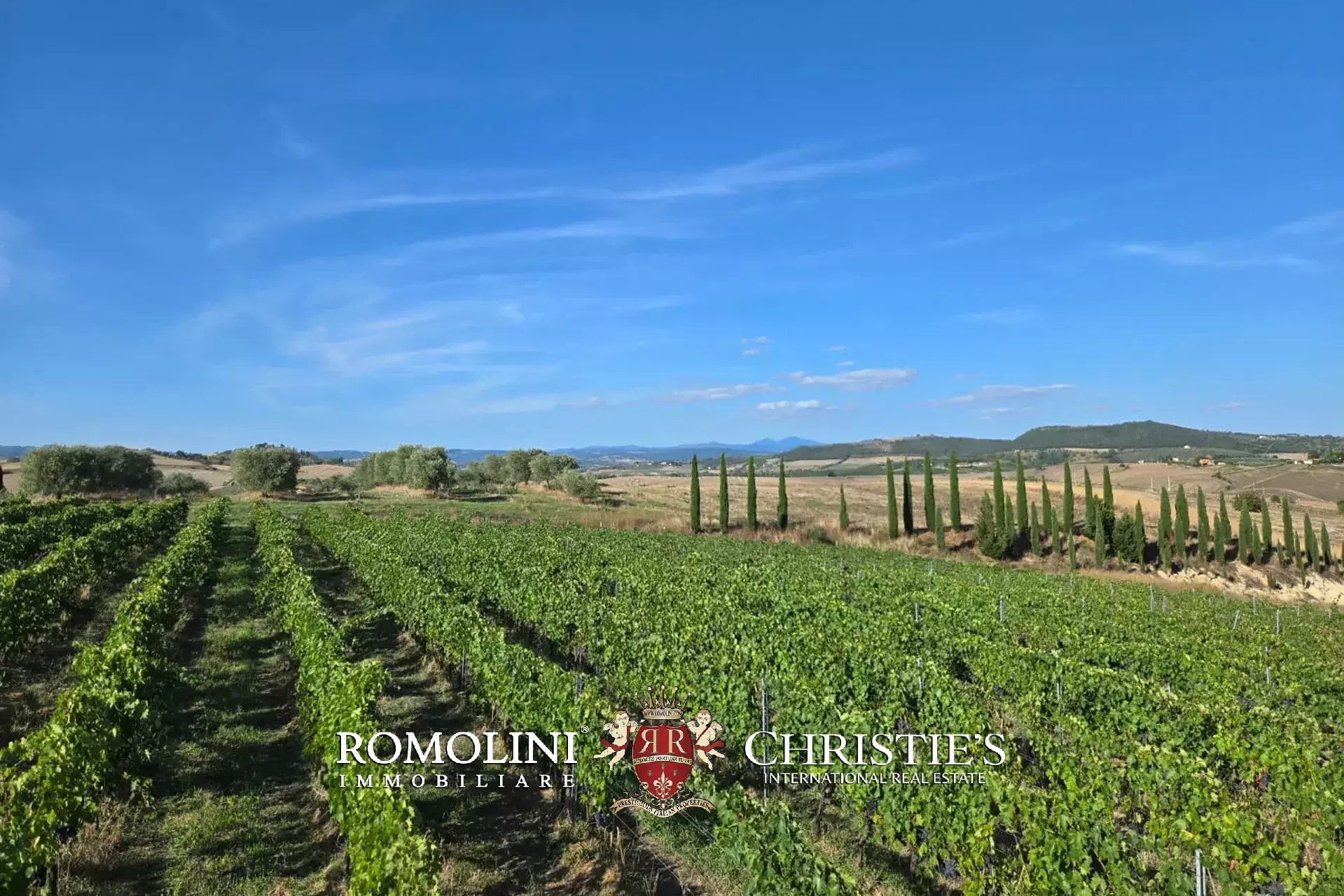 2 Bedroom Vineyard's Image 3