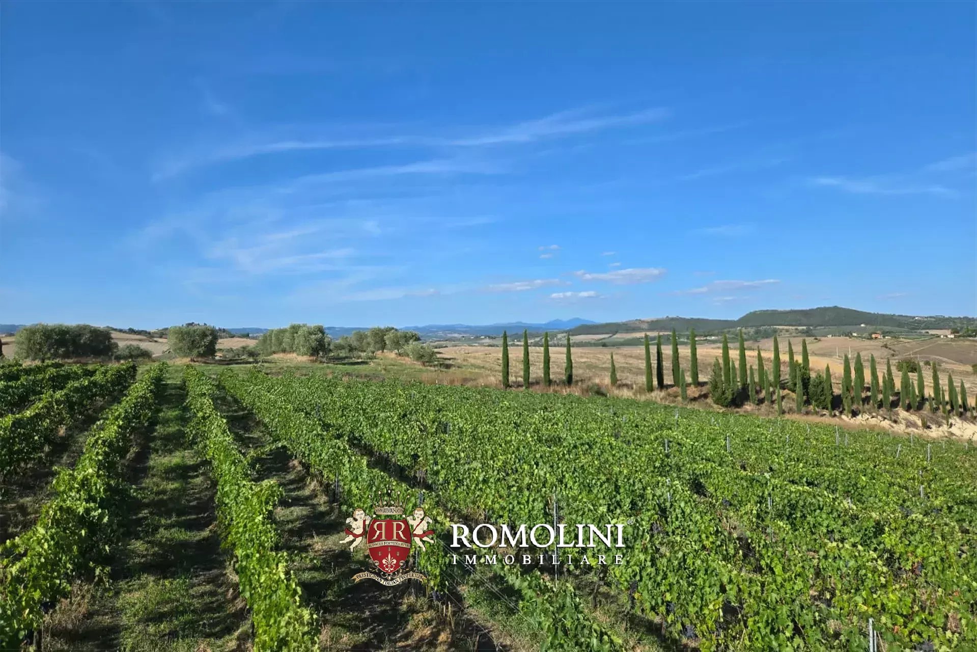 2 Bedroom Vineyard's Image 3
