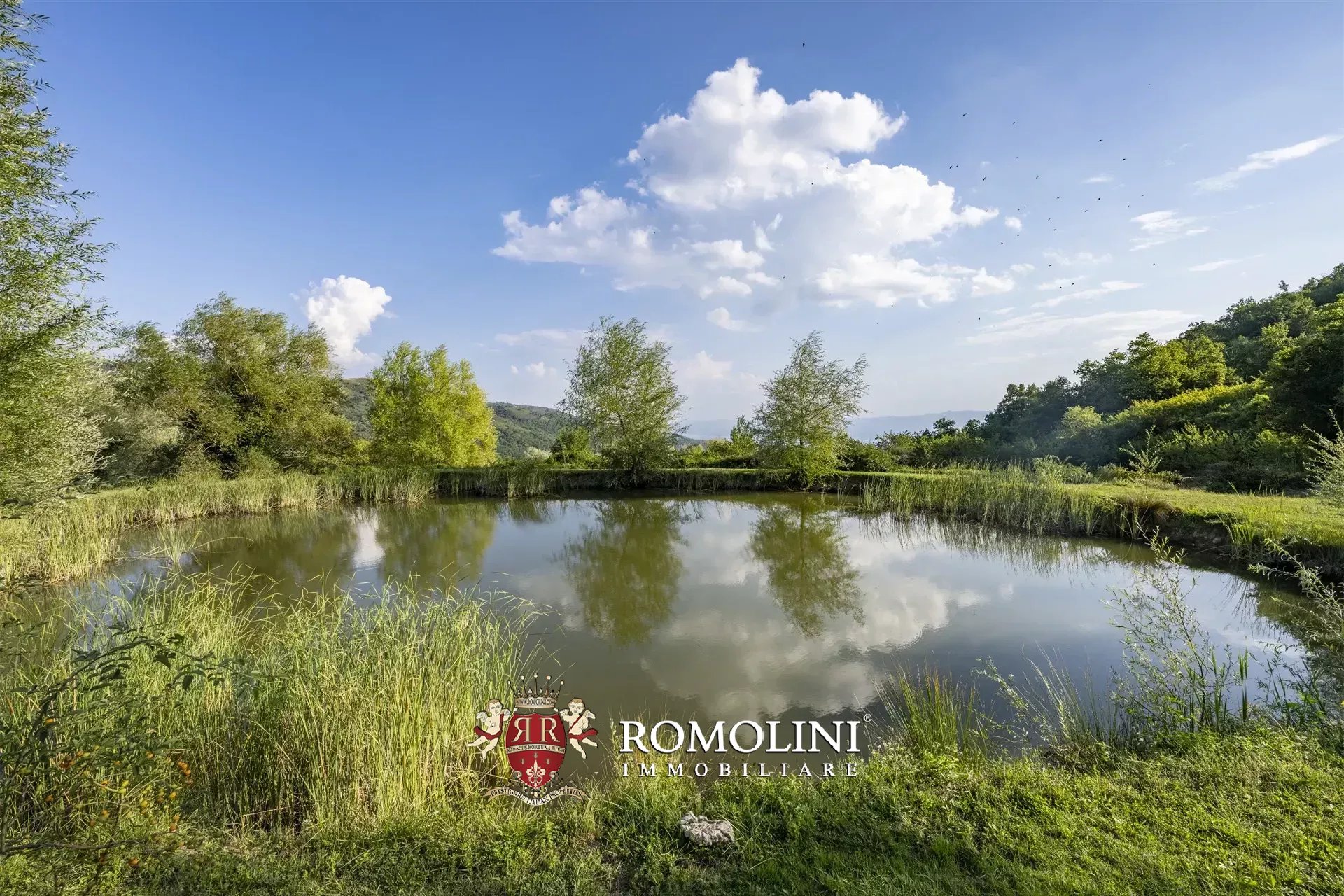 Property Slider Image
