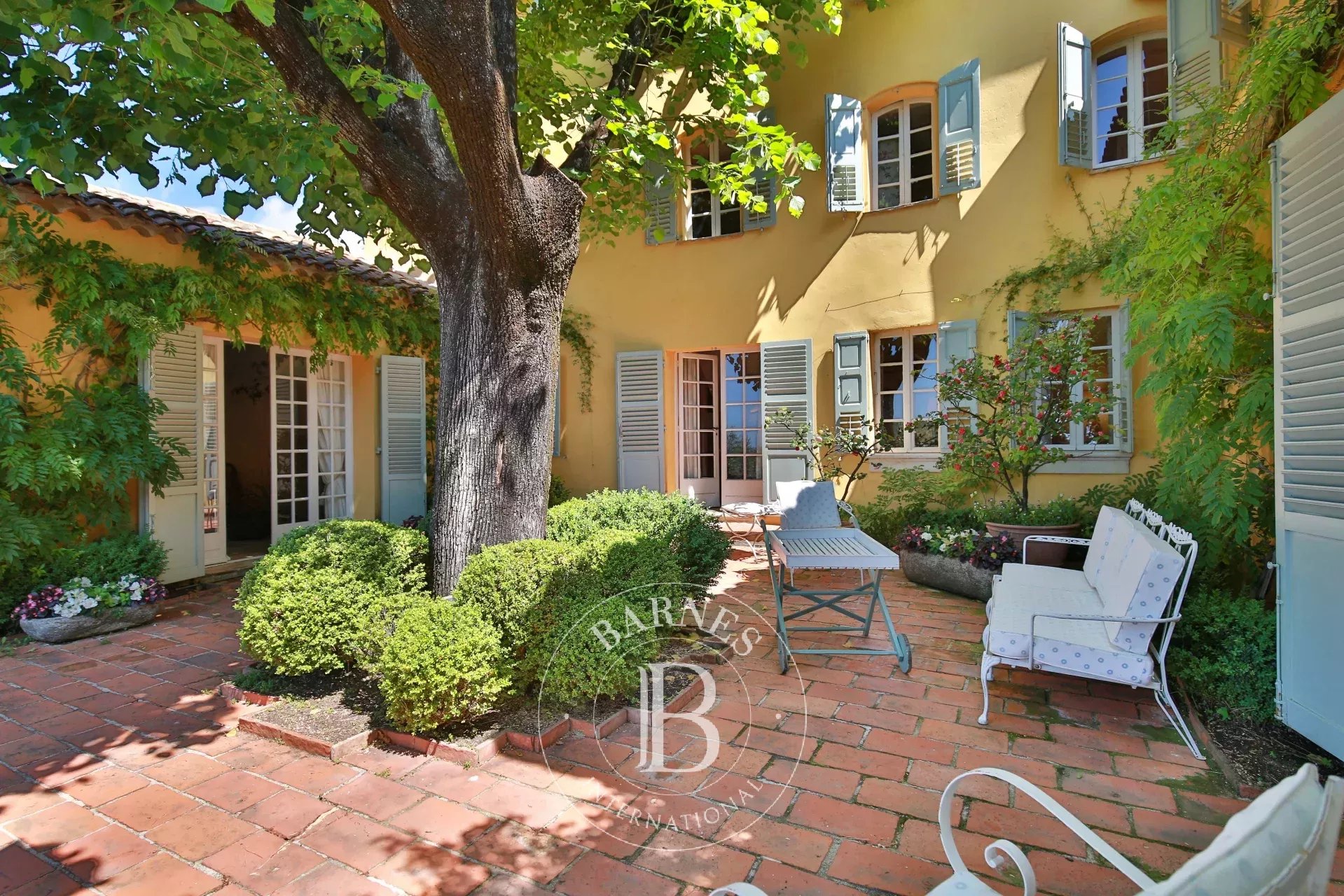 Ev Grasse - picture 6