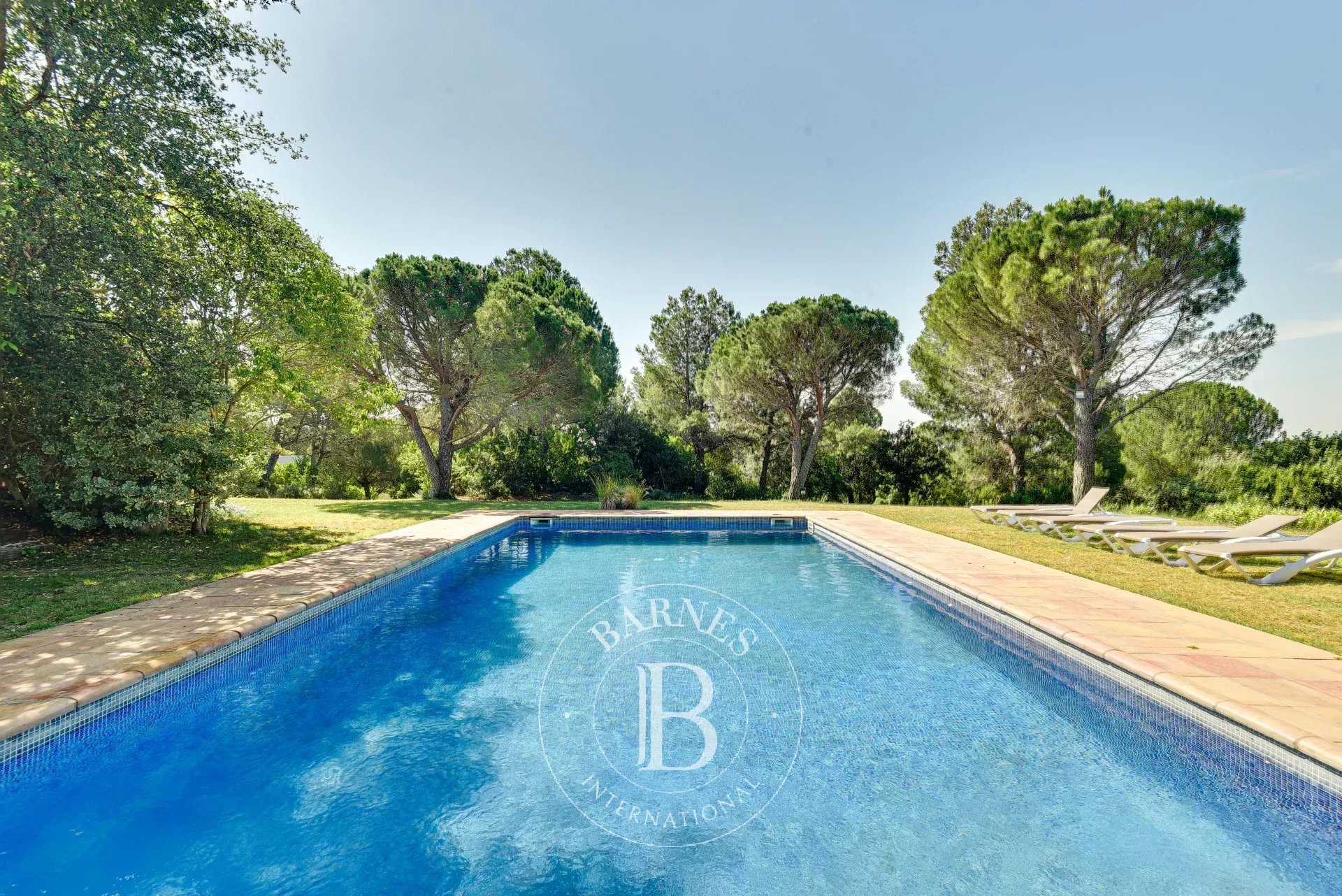 Çiftlik Capmany - picture 7