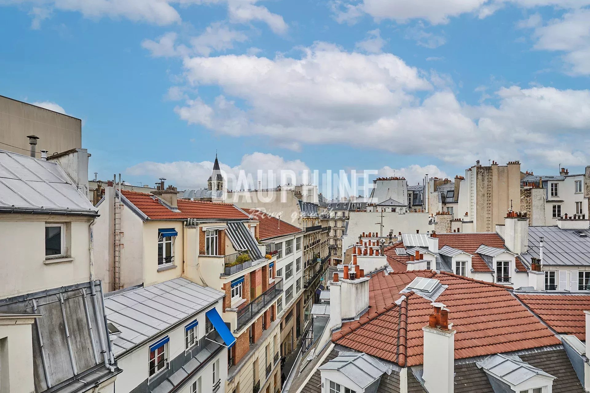 Agence immobilière de Agence Dauphine Rive Gauche 6ème Sud