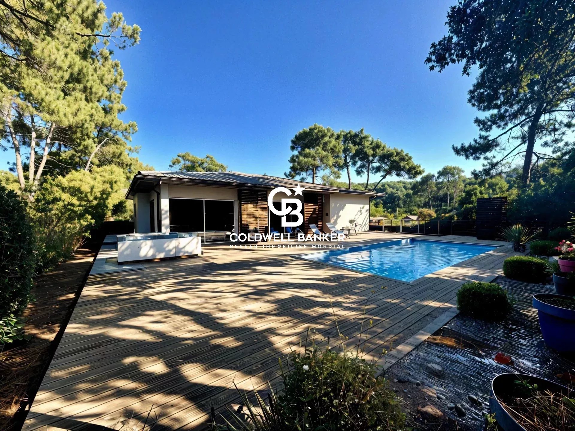 Agence immobilière de Silver Coast Int. Realty