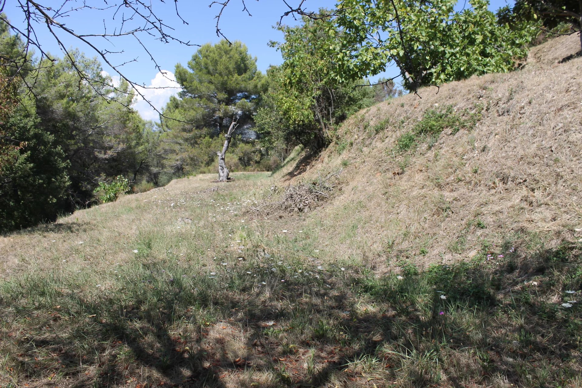 Photo bien immobilier