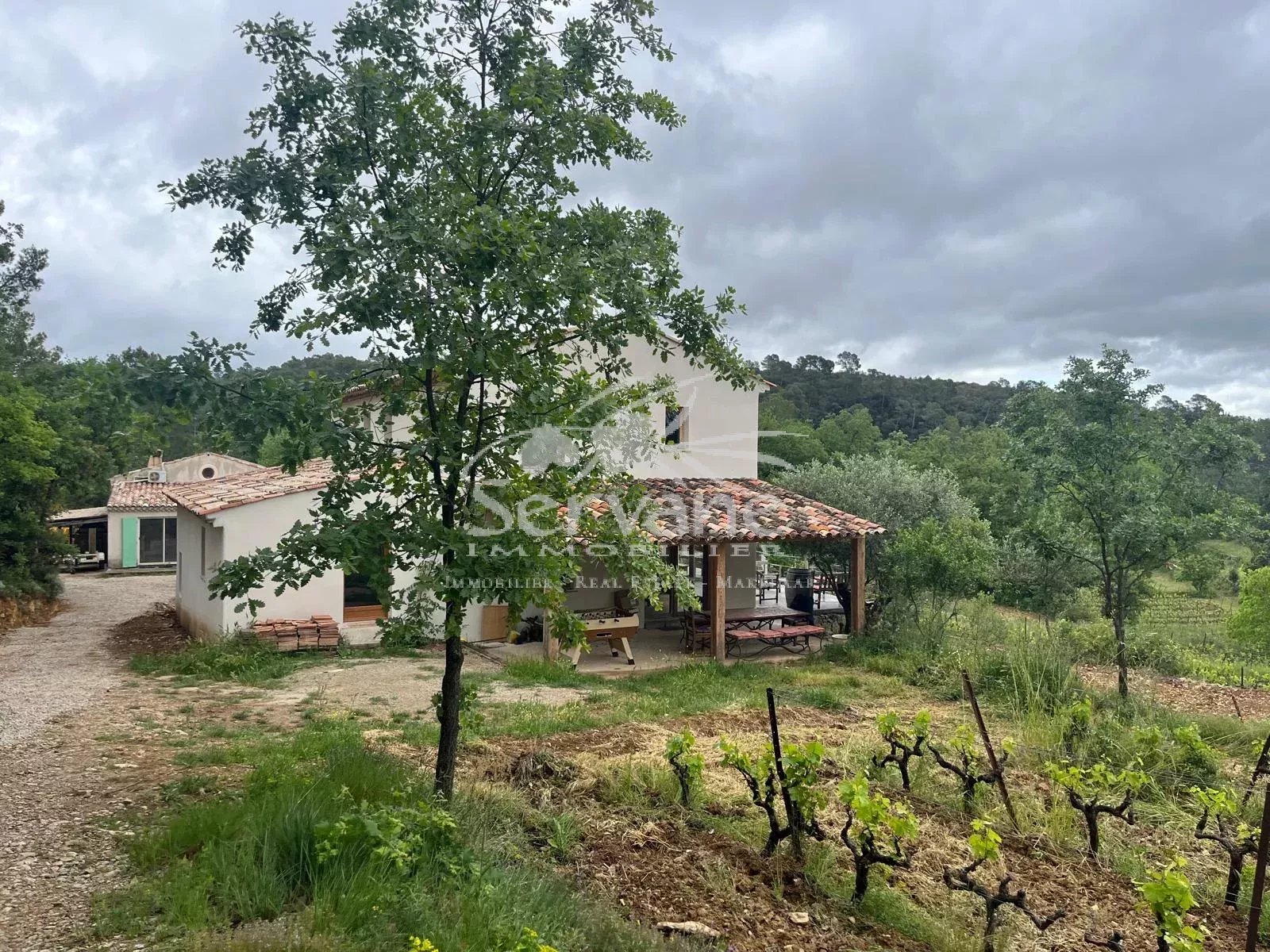 VINEYARD IN PROVENCE CLOSE TO COTIGNAC TO SELL