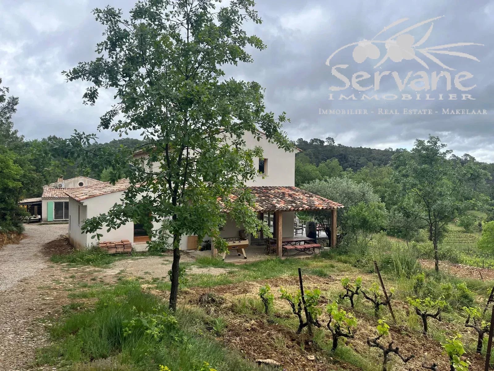 VINEYARD IN PROVENCE CLOSE TO COTIGNAC TO SELL