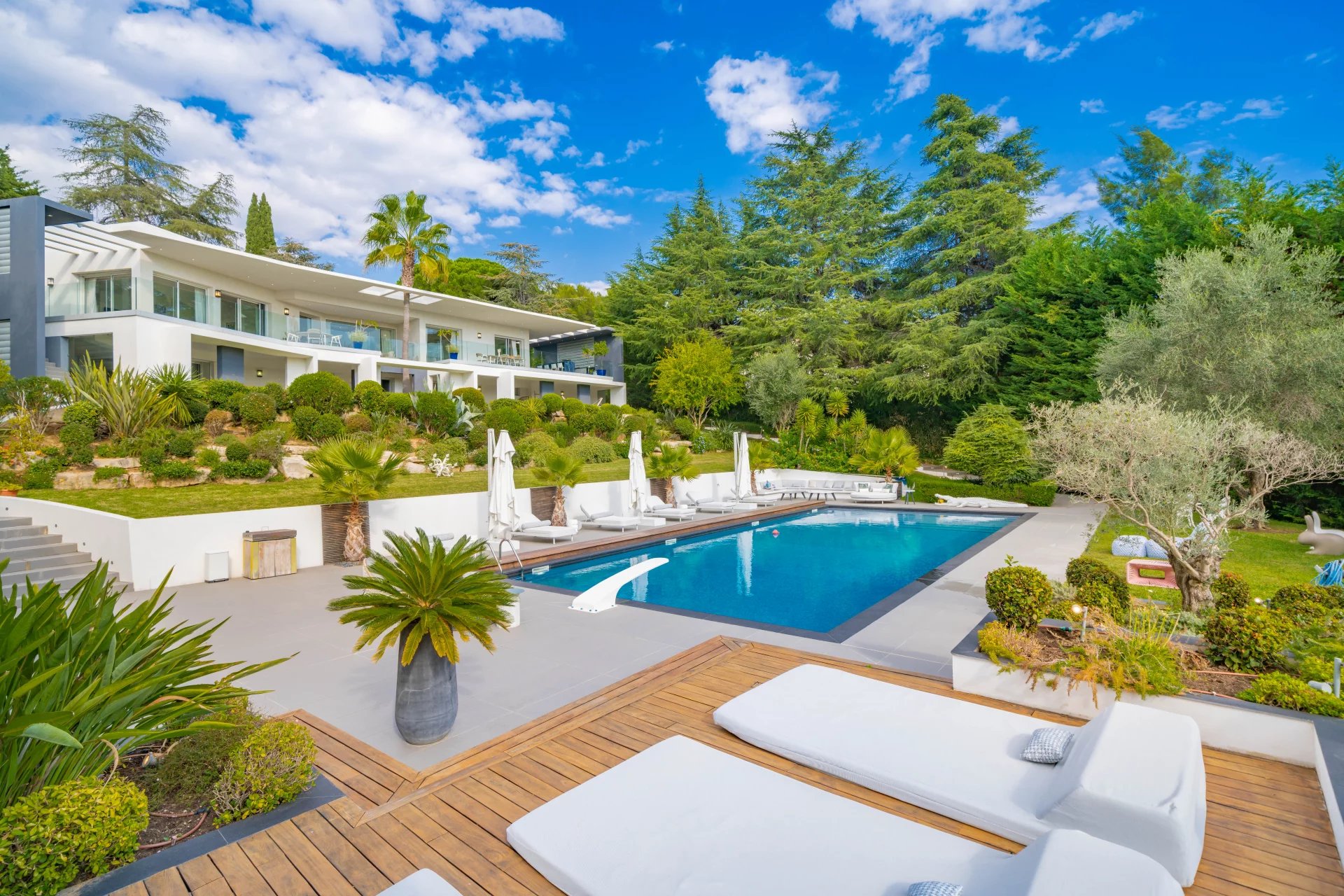 Agence immobilière de David Luxury Properties