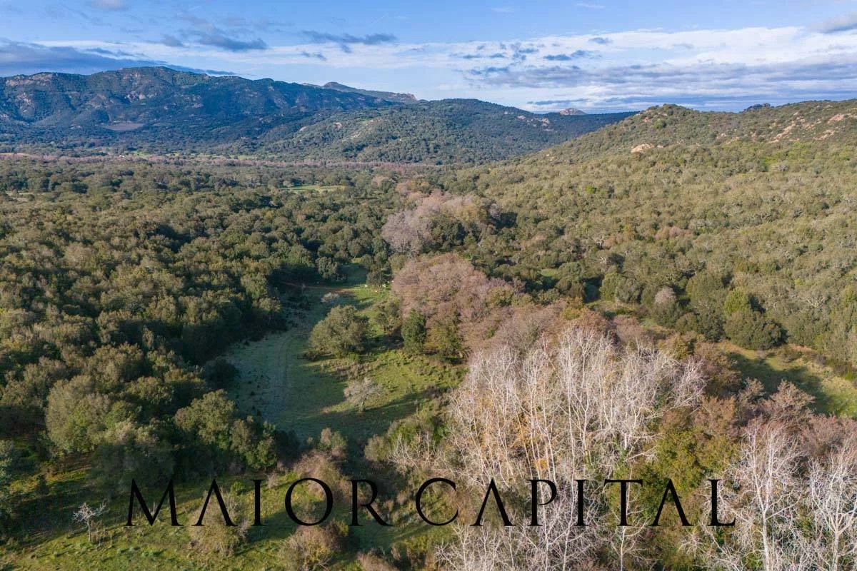 Padru | Terreno agricolo di 35 ettari tra Olbia e San Teodoro
